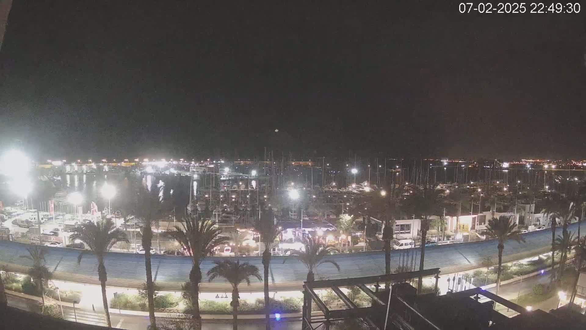 A nighttime view of a marina filled with boats, illuminated by lights, bordered by palm trees and a roadway.