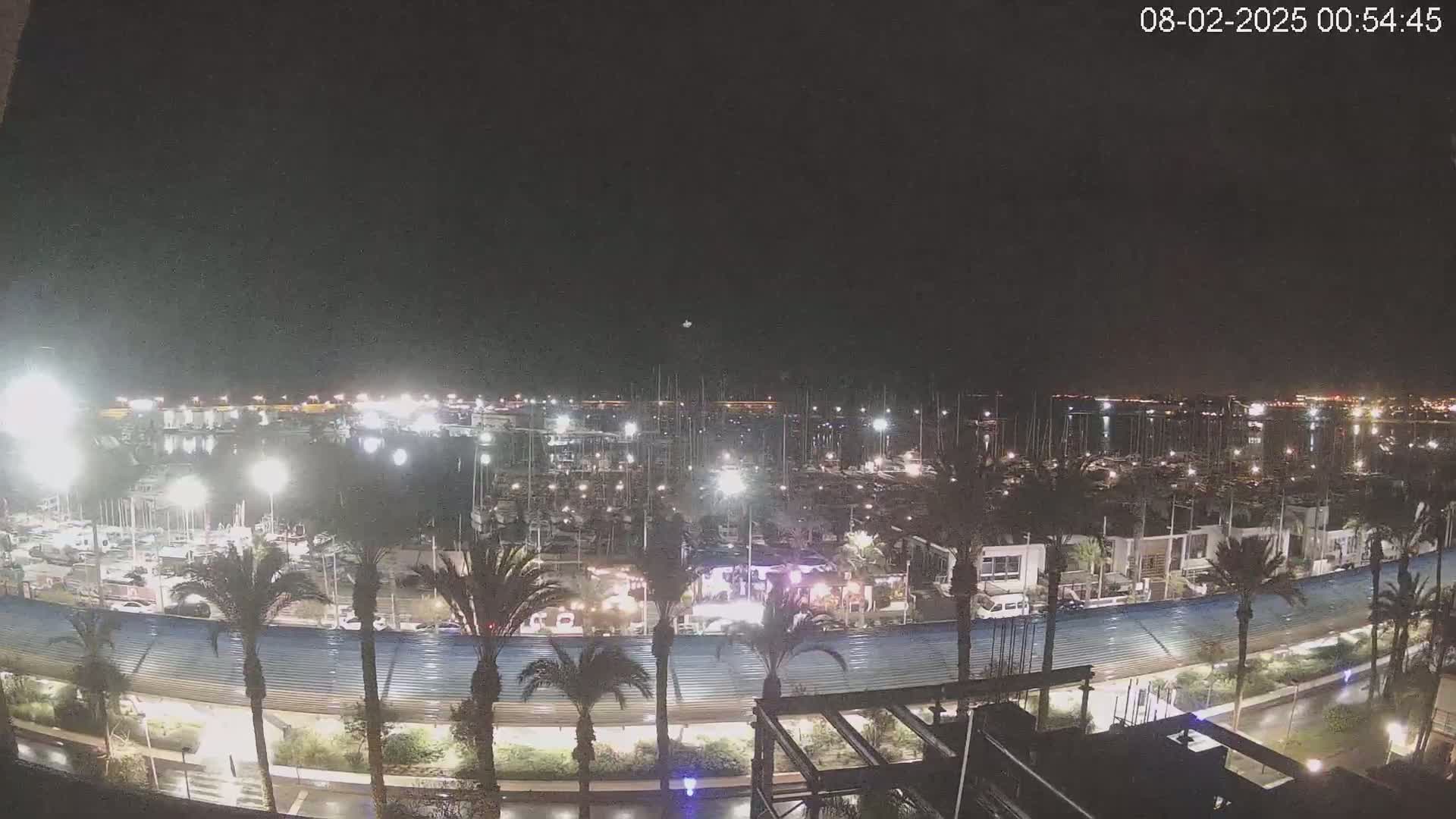 A nighttime view of a marina filled with boats, lined with palm trees and buildings under a clear, dark sky.