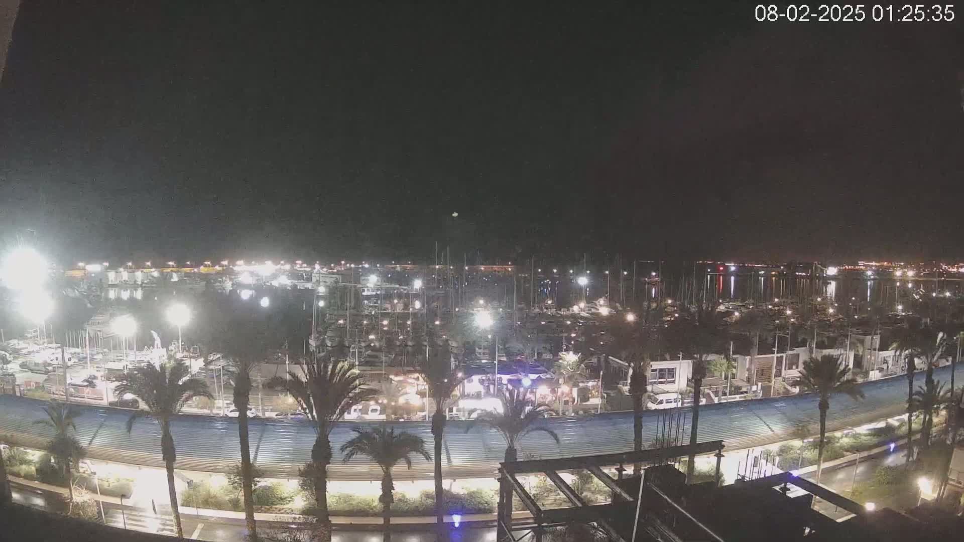 A nighttime view of a marina filled with boats, illuminated by lights, with palm trees lining a roadway next to the water under a clear, dark sky.