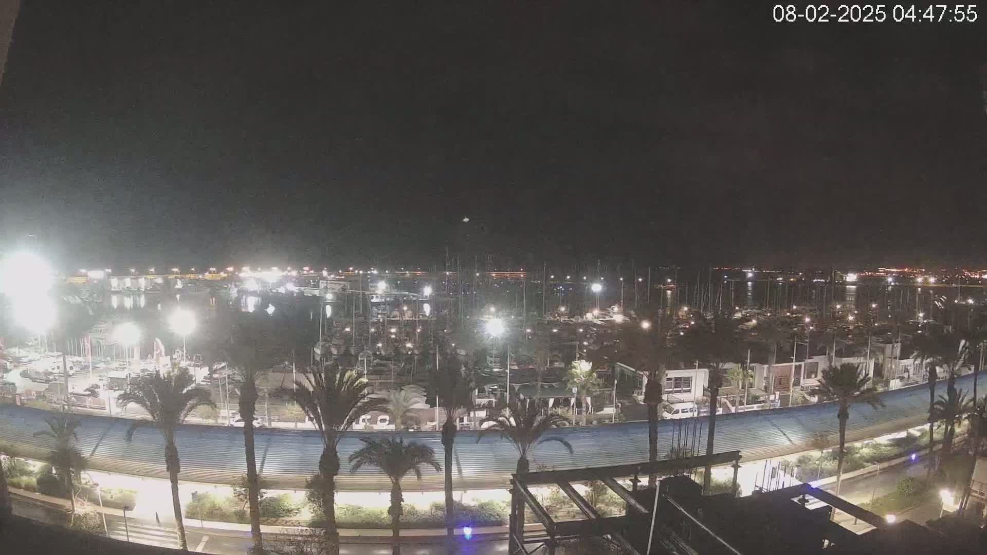 A nighttime, high-angle view of a marina filled with boats, illuminated by artificial lights, with palm trees lining a roadway beside it.