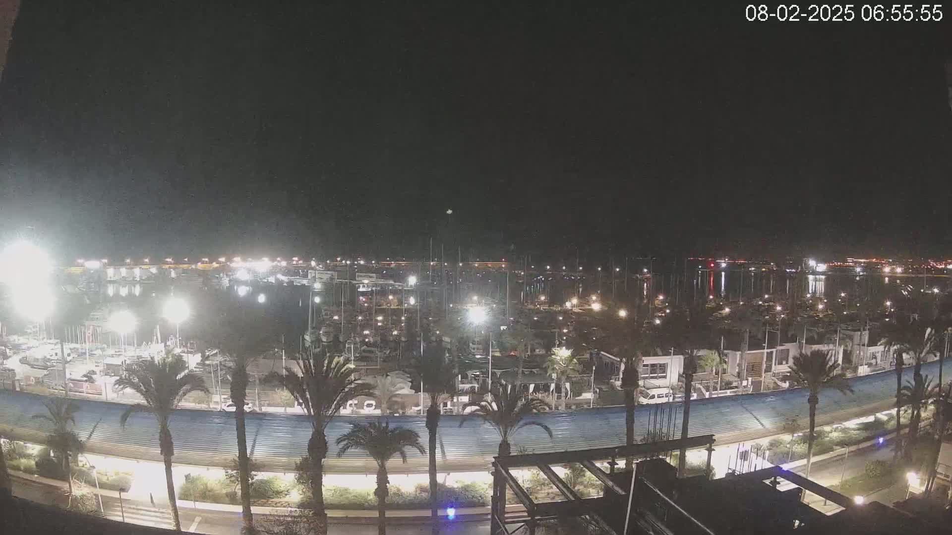 A nighttime, aerial view of a marina filled with boats, lined with palm trees, and illuminated by artificial lights.