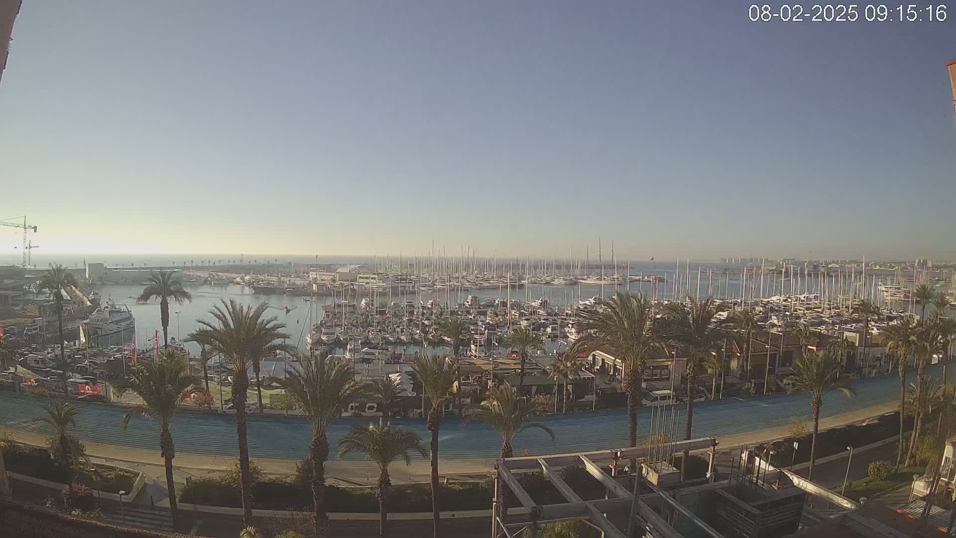 A marina filled with numerous boats and yachts is seen from an elevated vantage point on a clear, sunny day, with palm trees lining a nearby roadway.