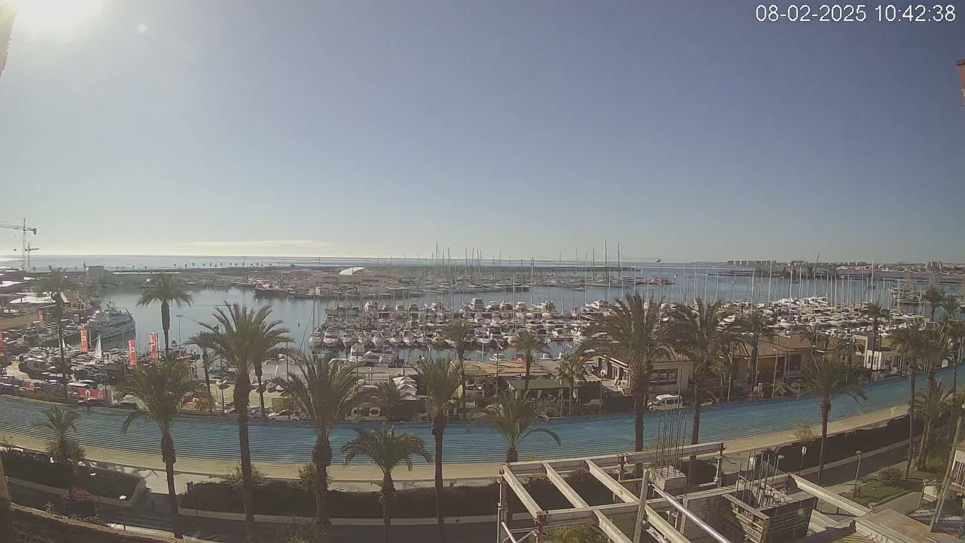 A sunny day overlooking a marina filled with numerous boats, palm trees lining a waterfront path, and construction visible in the foreground.
