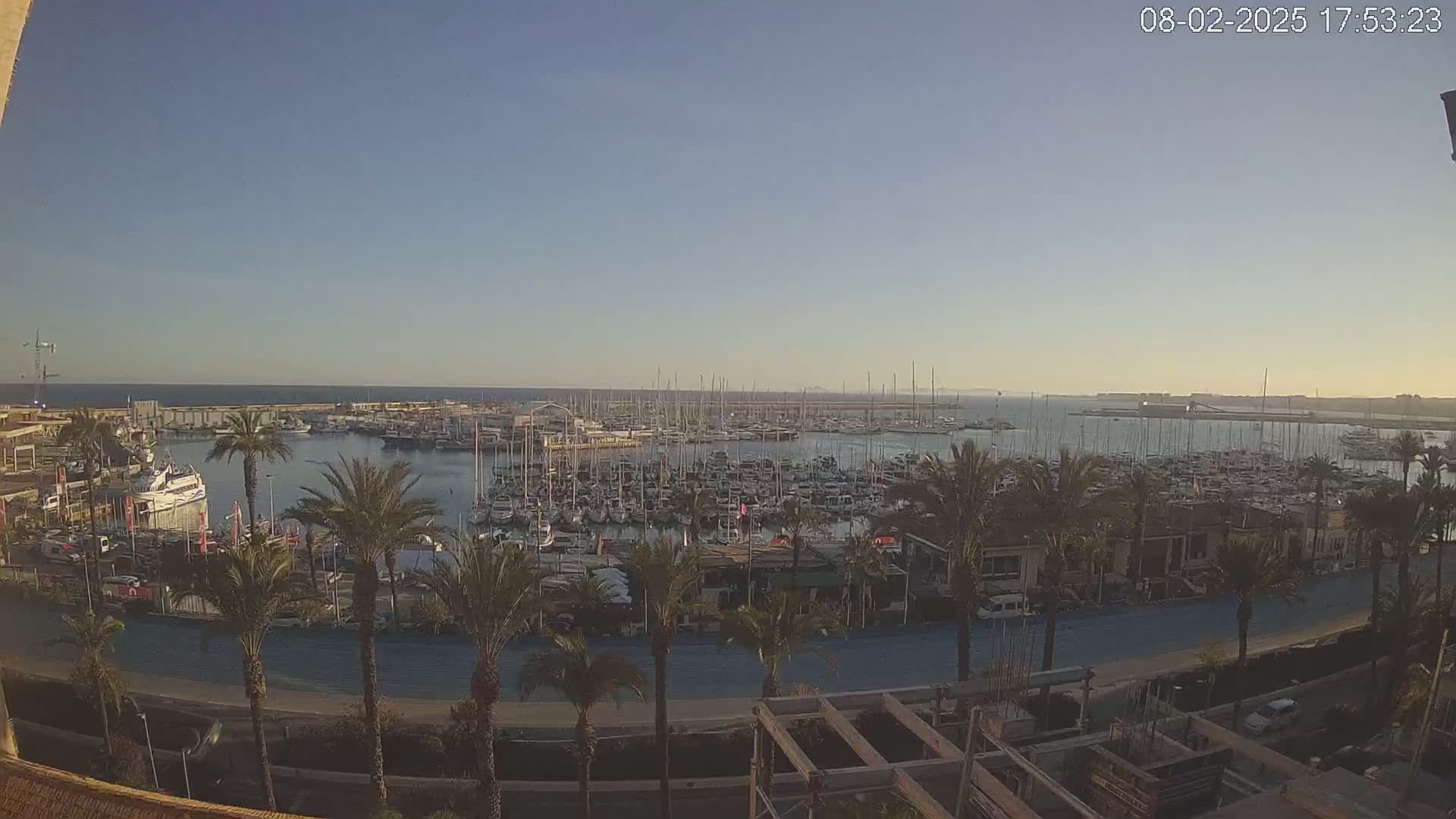 A large marina filled with numerous boats and yachts is seen under a clear, sunny sky, with palm trees lining a road in the foreground.