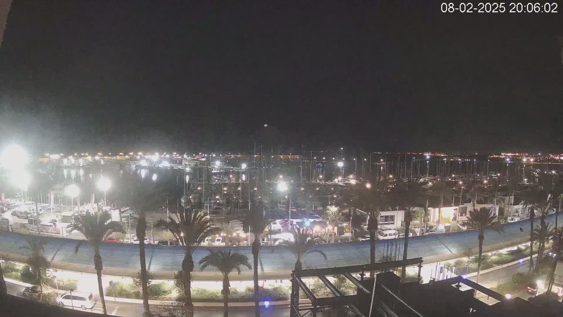 A nighttime view of a marina filled with boats, illuminated by lights, with palm trees lining a curved roadway along the waterfront under a clear, dark sky.