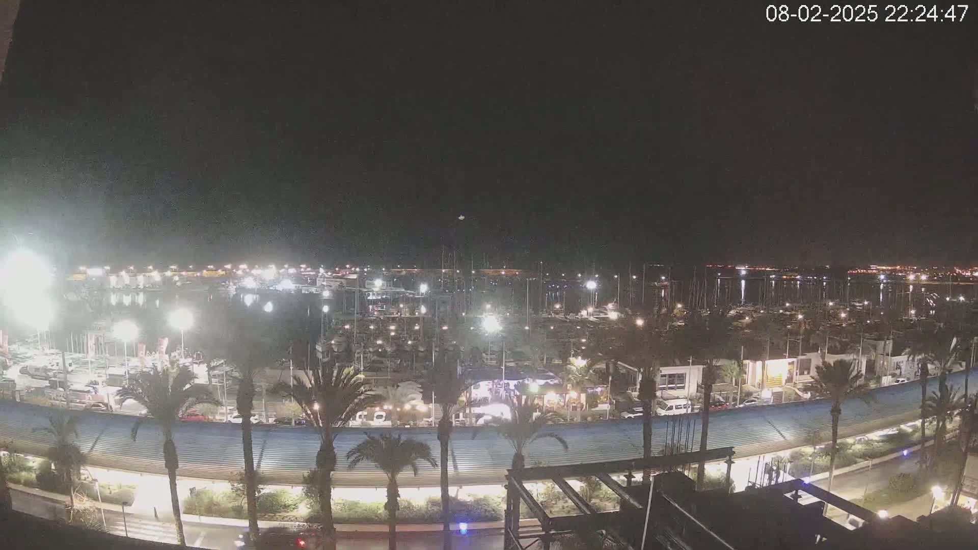 A nighttime, high-angle view of a marina filled with boats, lined with palm trees and buildings, under a clear, dark sky.