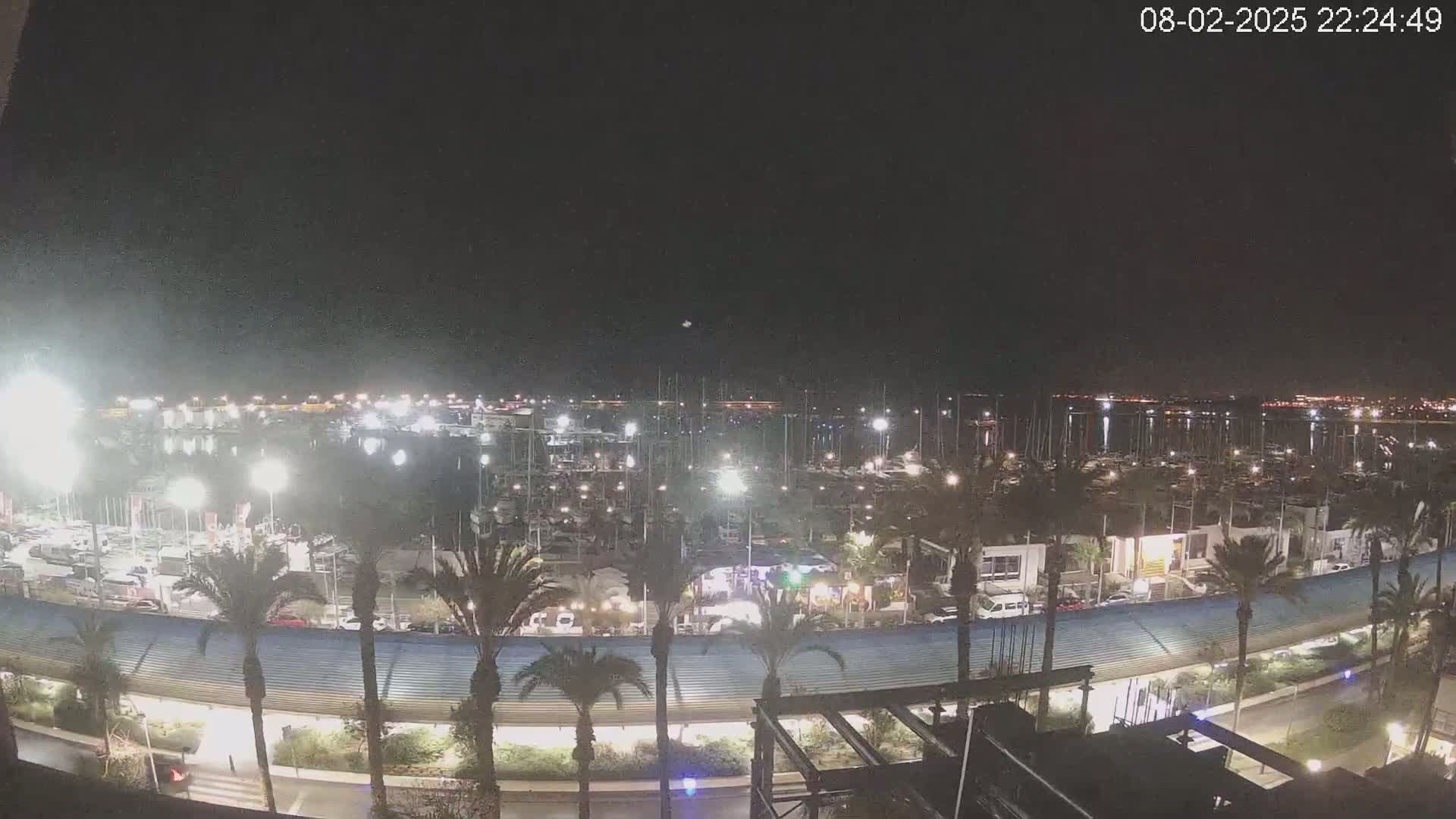 A nighttime view of a marina filled with boats, surrounded by palm trees and lit by numerous lights under a clear, dark sky.