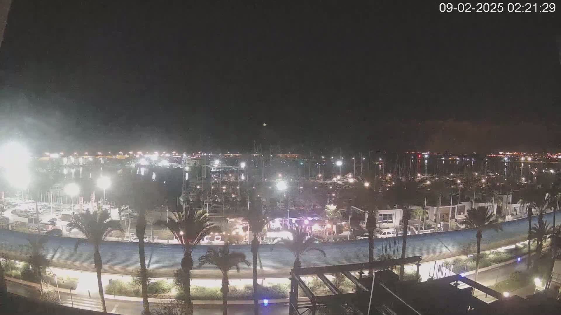 A nighttime, aerial view of a marina filled with boats, surrounded by palm trees and buildings under a clear, dark sky.