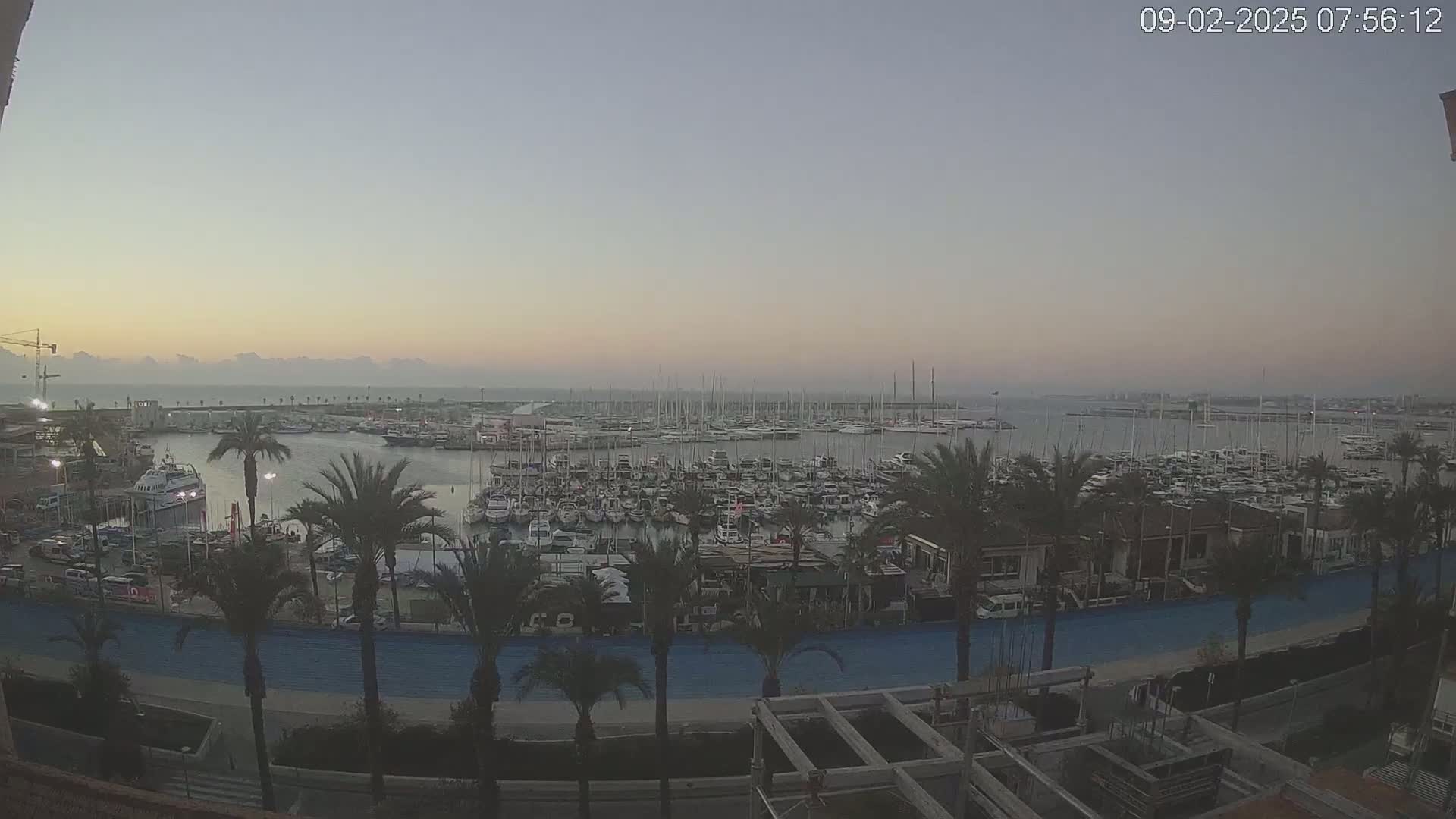 A calm harbor filled with numerous boats and yachts is viewed from an elevated position at dawn, with palm trees lining a waterfront path.