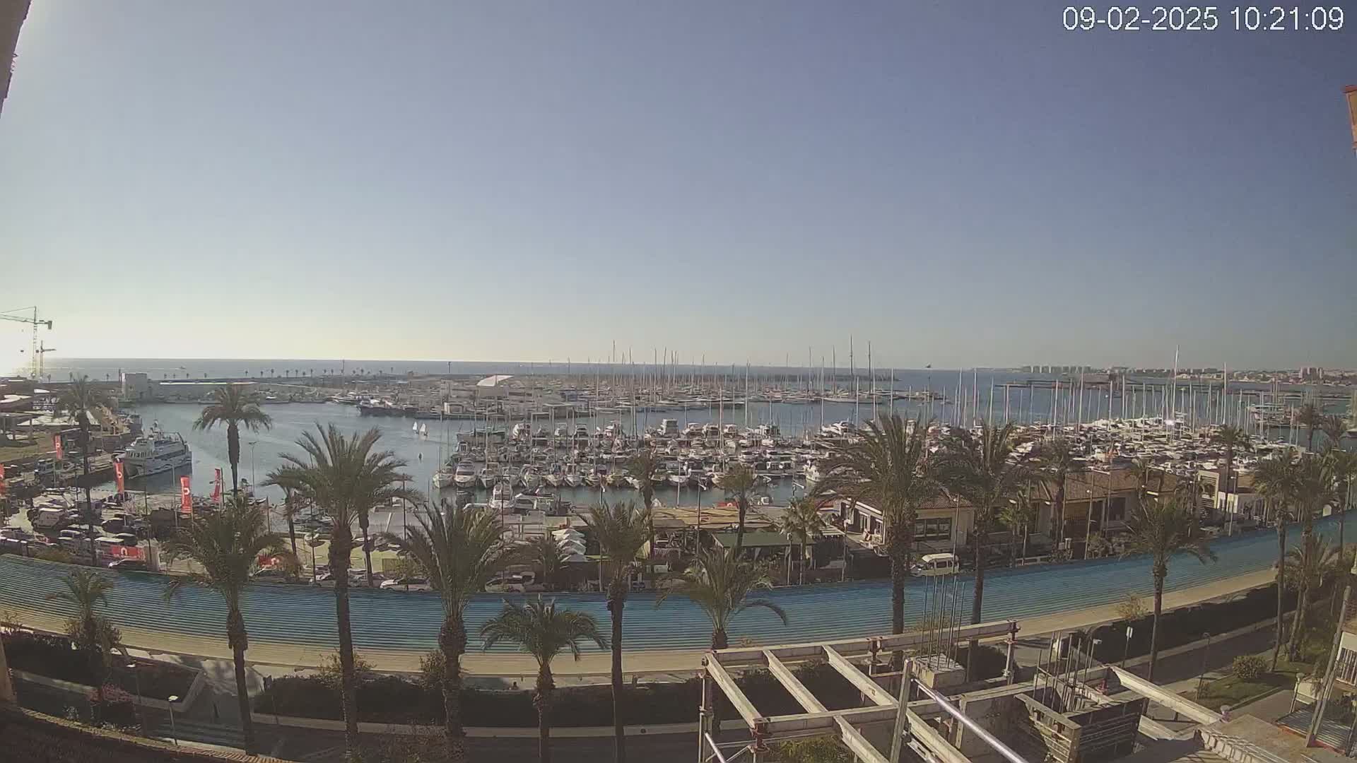 A sunny day reveals a harbor filled with numerous boats and yachts, surrounded by palm trees and a paved waterfront area.
