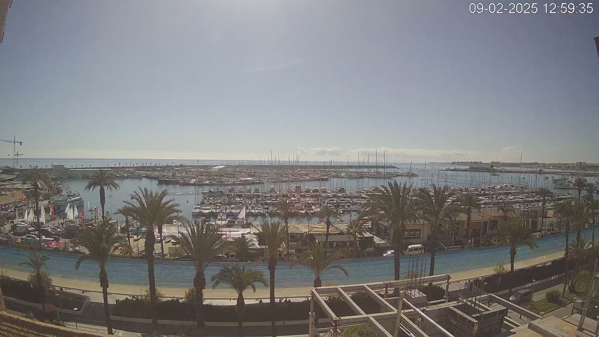A sunny day overlooking a harbor filled with numerous boats and yachts, surrounded by palm trees and a waterfront promenade.