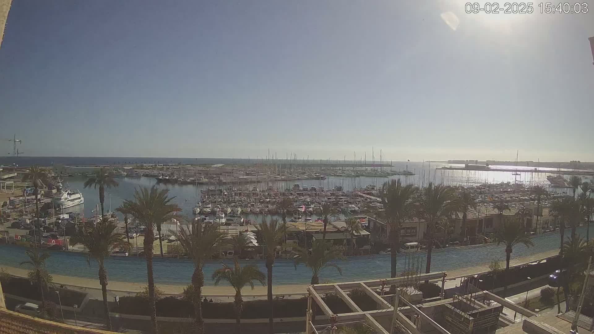 A sunny day overlooking a marina filled with numerous boats and yachts, surrounded by palm trees and a waterfront promenade.