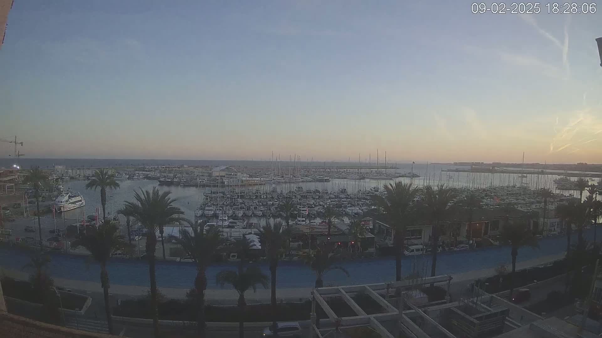A twilight view of a harbor filled with numerous boats and yachts, surrounded by palm trees and a waterfront promenade under a clear sky.