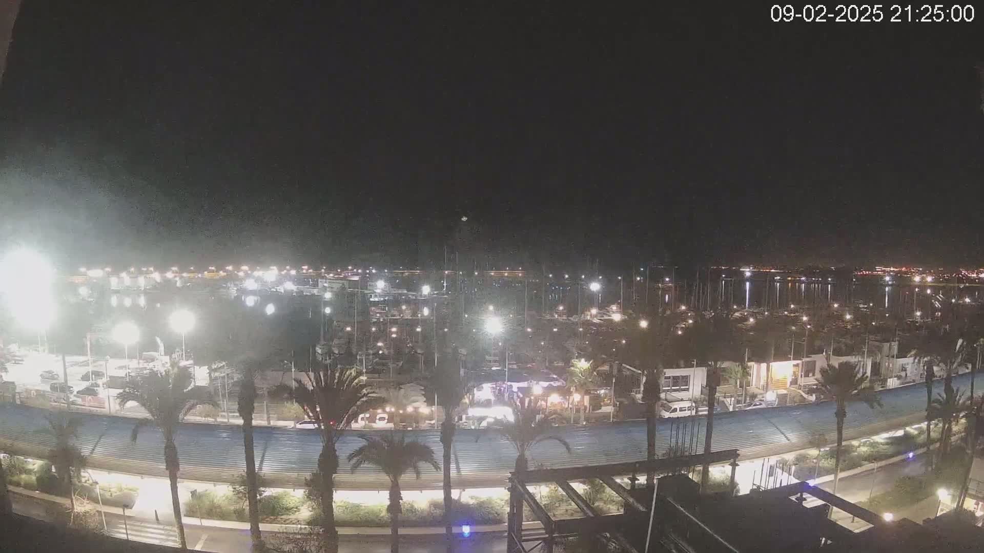 A nighttime view of a marina filled with boats, illuminated by lights, with palm trees lining a roadway nearby under a clear sky.