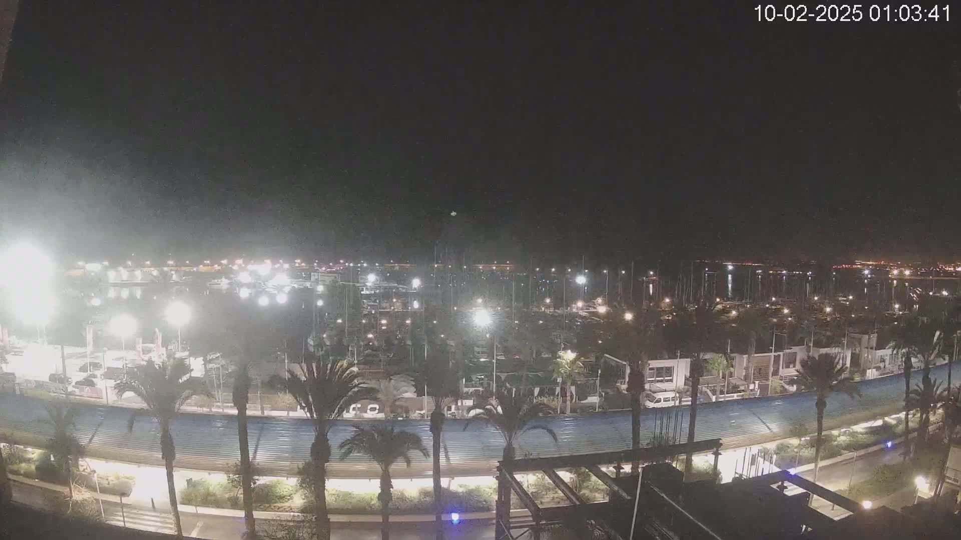 A nighttime view of a marina filled with boats, surrounded by palm trees and buildings under a clear, dark sky.