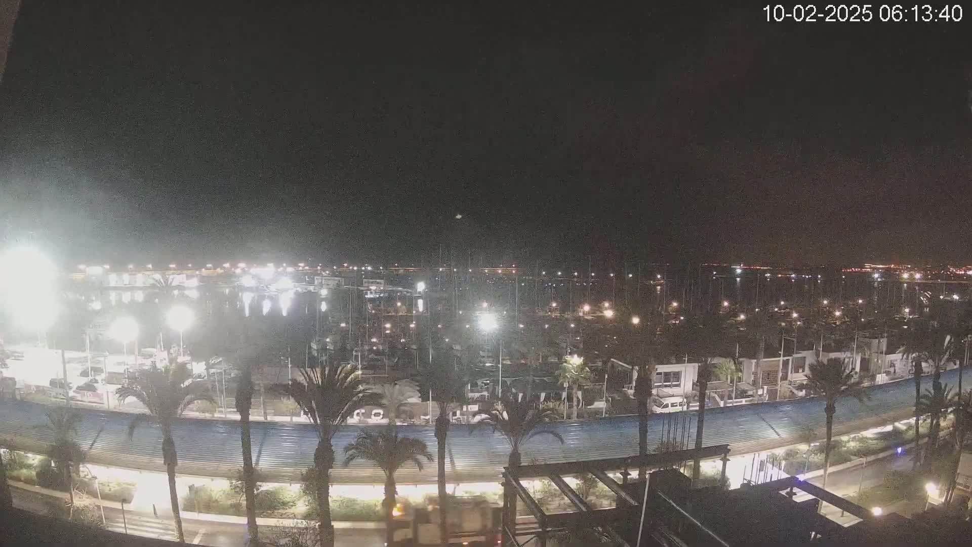 A nighttime, illuminated view of a marina filled with boats, surrounded by palm trees and buildings along a waterfront road.