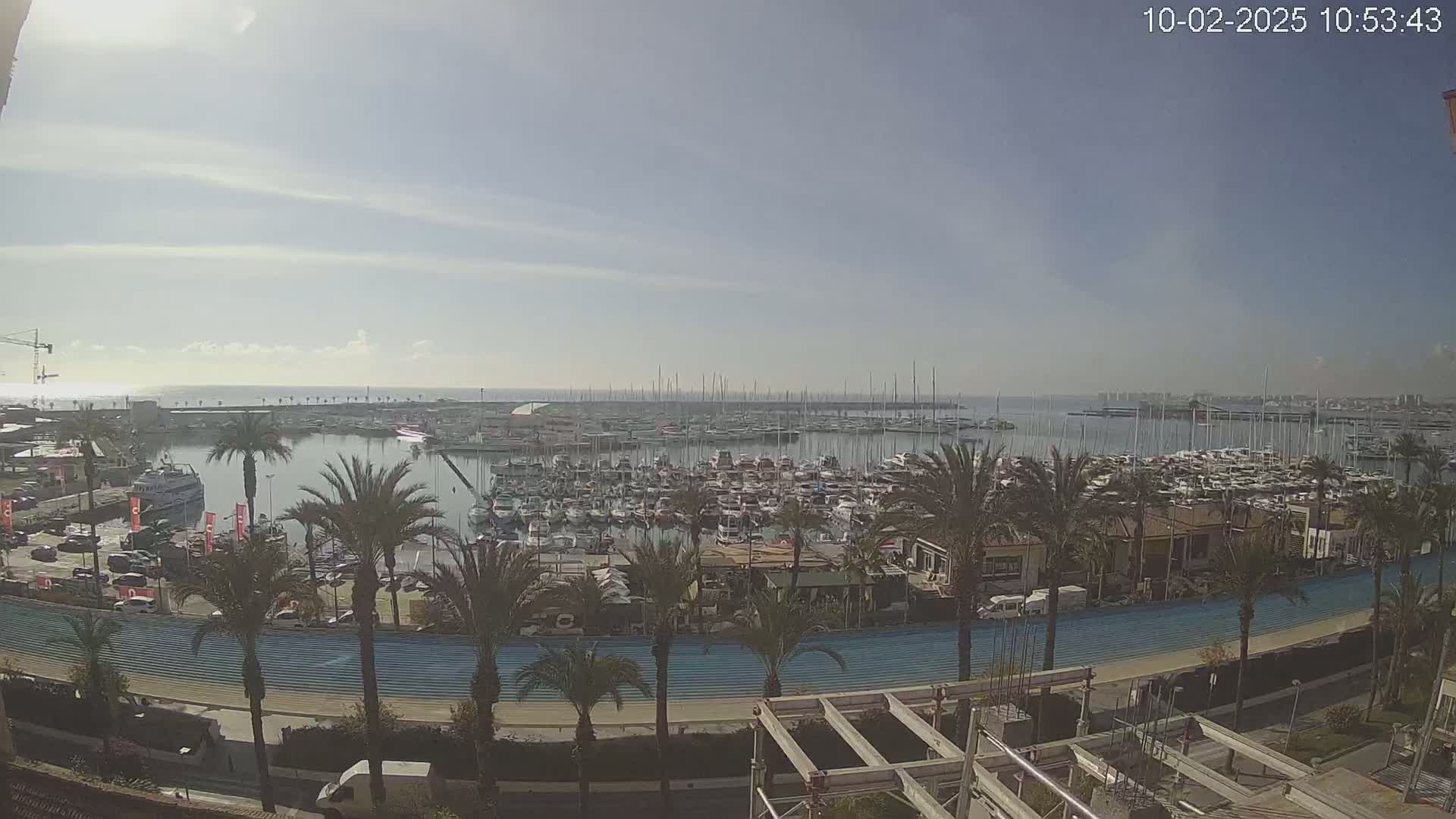 A marina filled with numerous boats is visible under a mostly clear sky, with palm trees lining a roadway in the foreground.