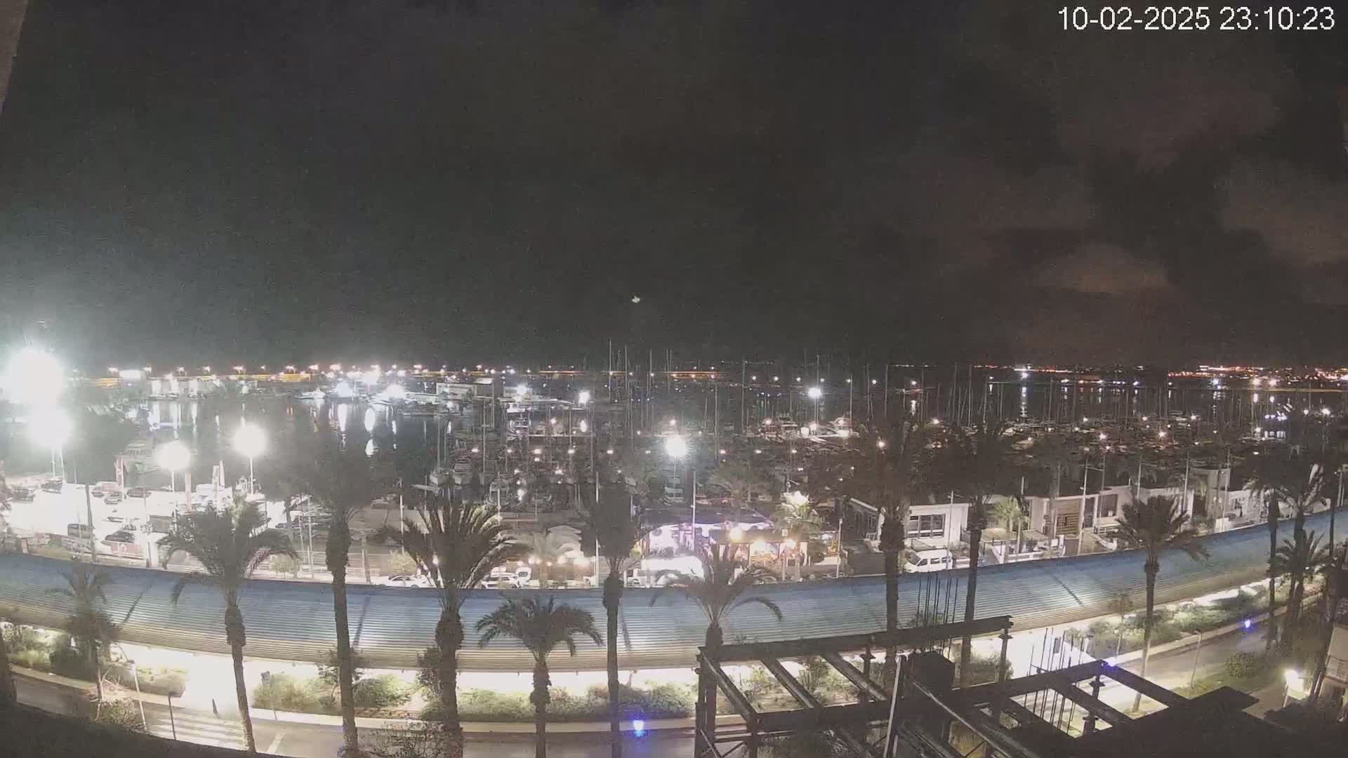 A nighttime view of a marina filled with boats, surrounded by palm trees and illuminated by lights under a partly cloudy sky.