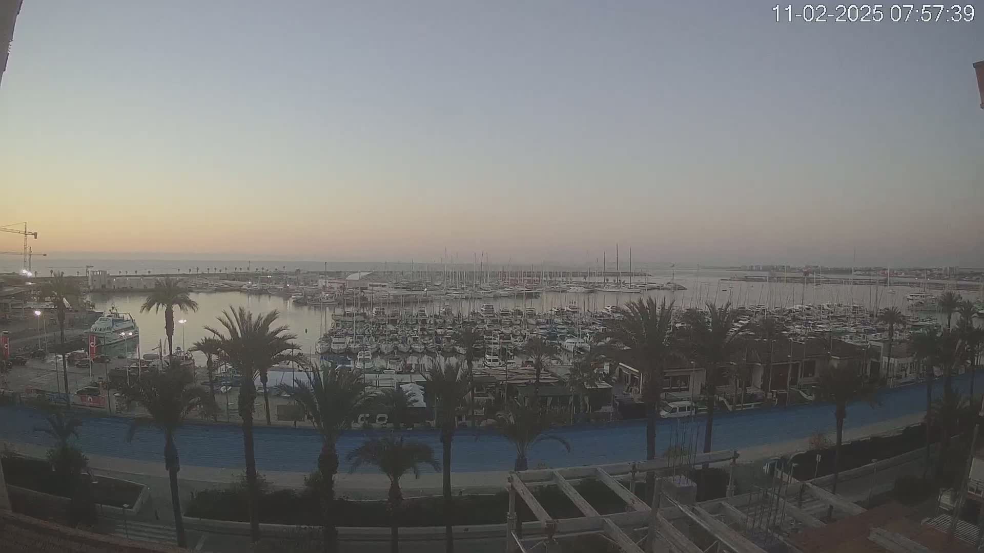 A calm harbor filled with numerous boats and yachts is seen at dawn, with palm trees lining a waterfront path under a pale sky.