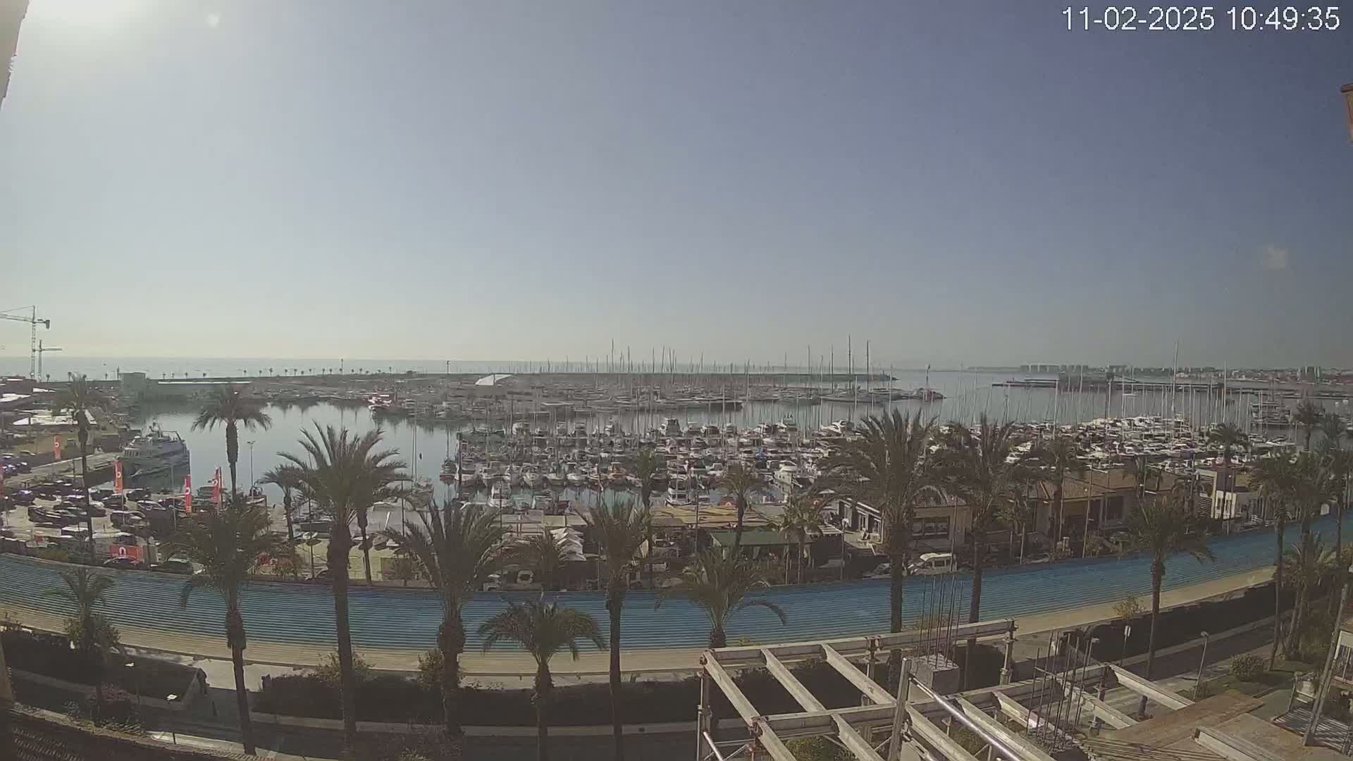 A sunny day reveals a marina filled with numerous boats and yachts, surrounded by palm trees and a waterfront promenade.