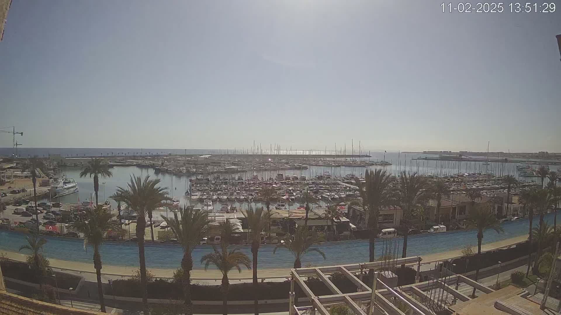 A sunny day reveals a marina filled with numerous boats, surrounded by palm trees and a waterfront promenade, with a calm sea extending to the horizon.