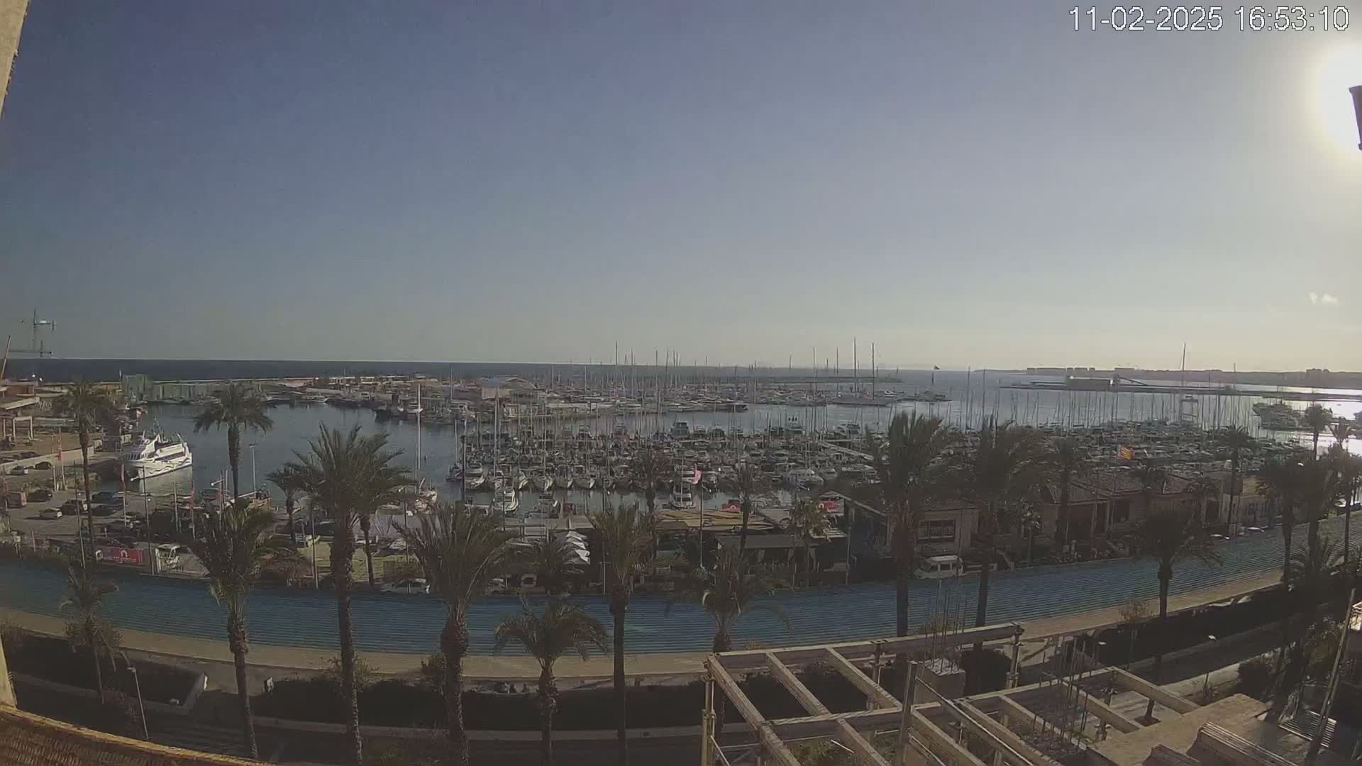 A harbor filled with many boats and surrounded by palm trees under a clear, sunny sky.