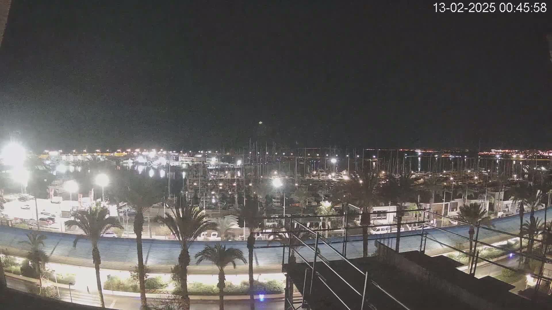 A nighttime view of a marina filled with boats, surrounded by palm trees and lit by artificial lights, under a clear, dark sky.