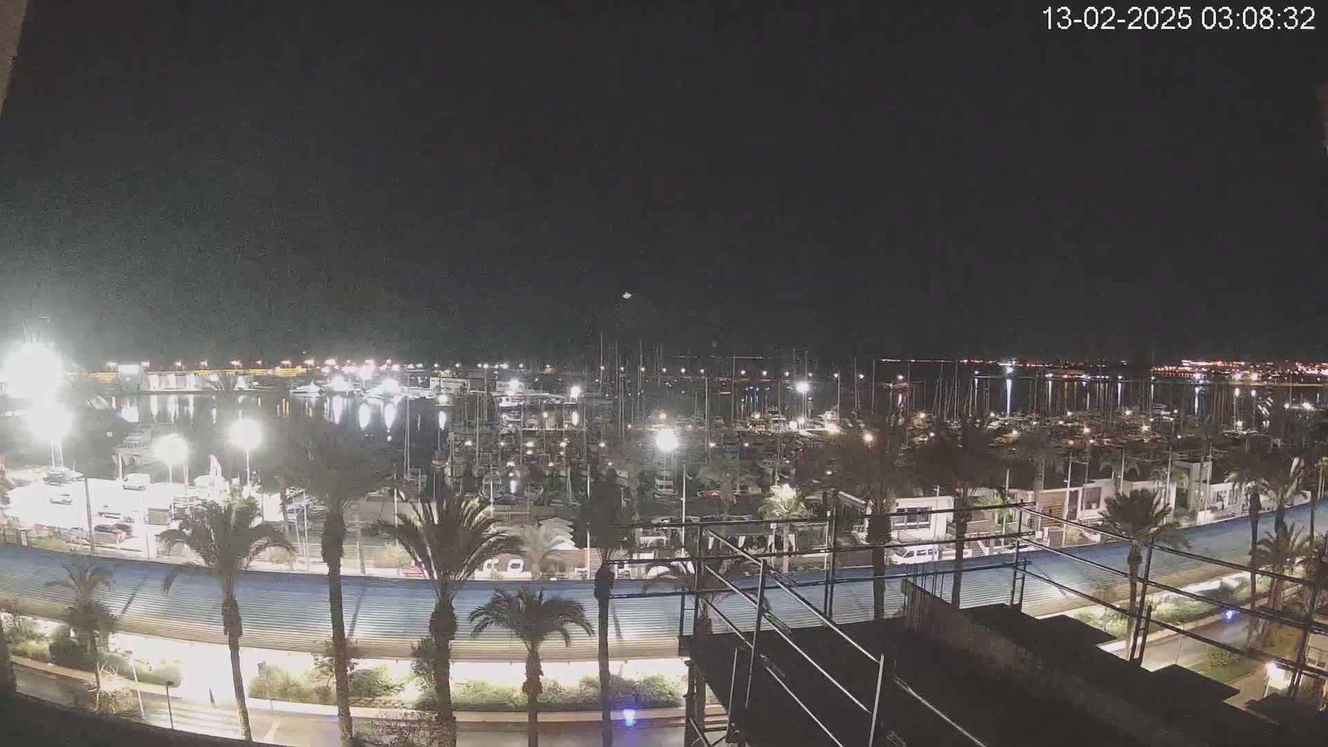 A nighttime, high-angle view of a marina filled with boats, illuminated by artificial lights, surrounded by palm trees and a roadway.