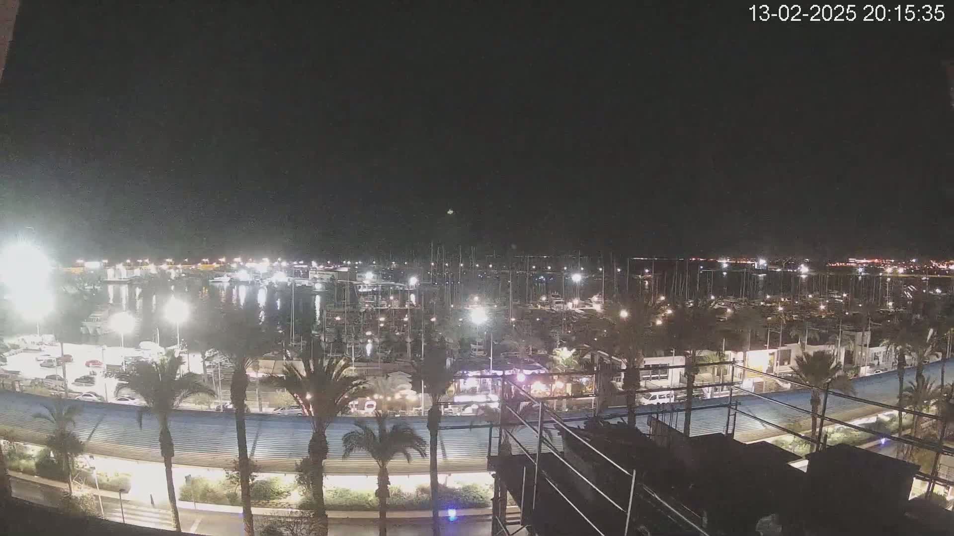 A nighttime view of a marina filled with boats, illuminated by lights, surrounded by palm trees and a roadway under a clear, dark sky.