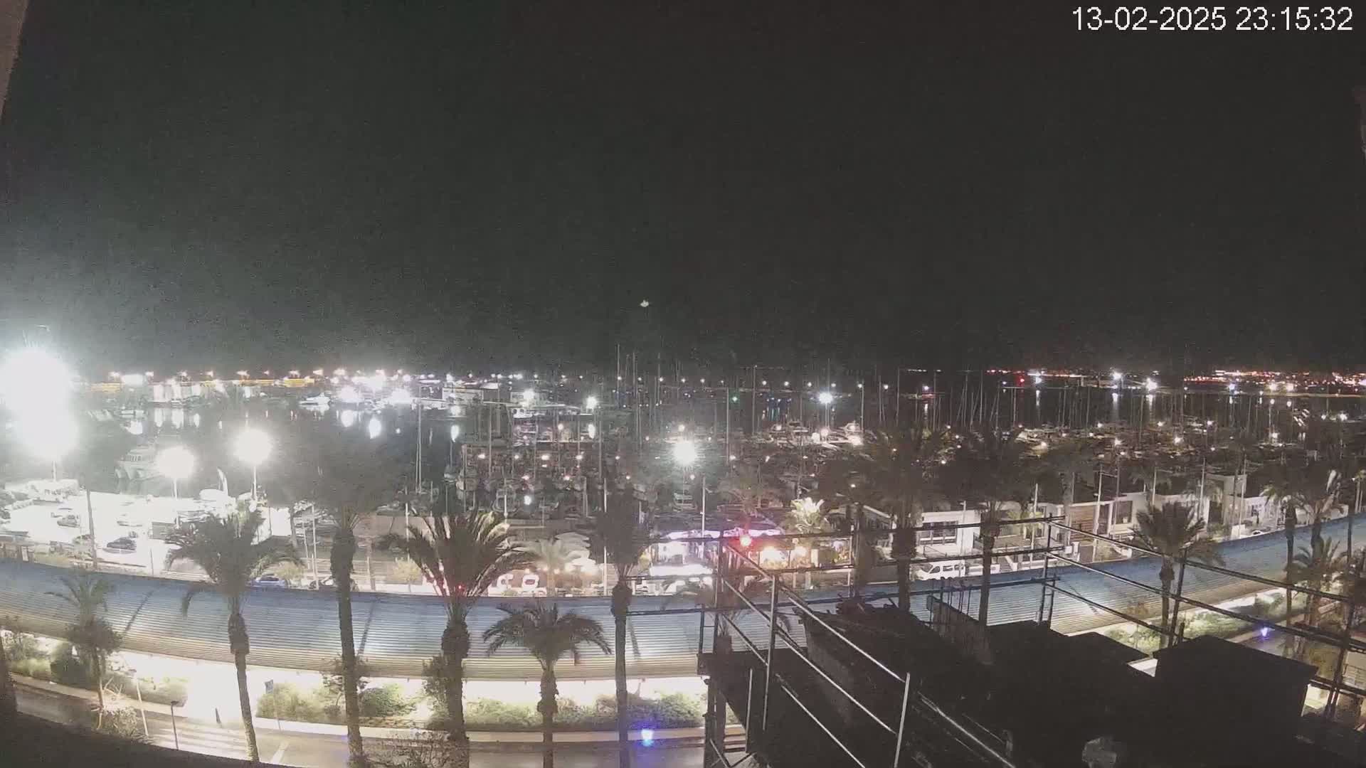 A nighttime view of a marina filled with boats, surrounded by palm trees and illuminated by lights under a clear, dark sky.