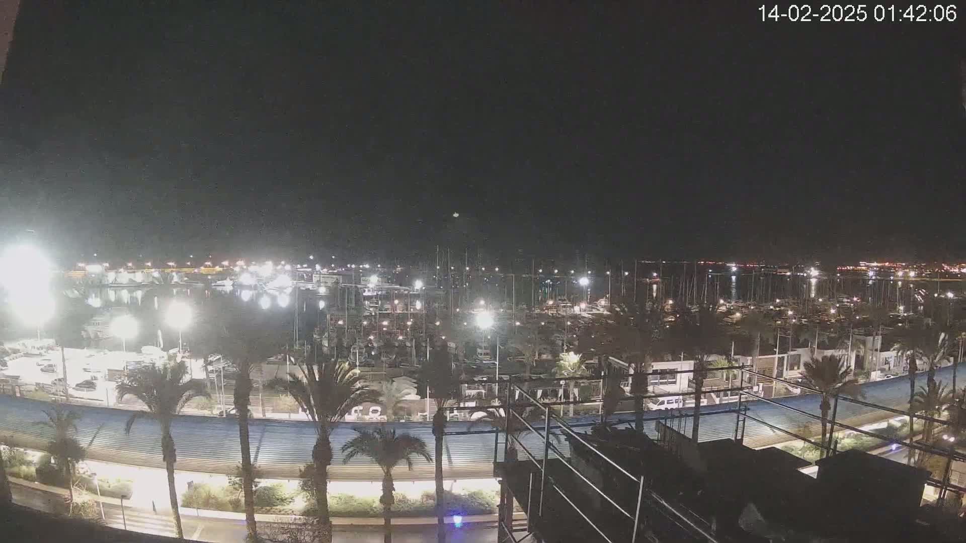 A nighttime view of a marina filled with boats, illuminated by lights, under a clear, dark sky.
