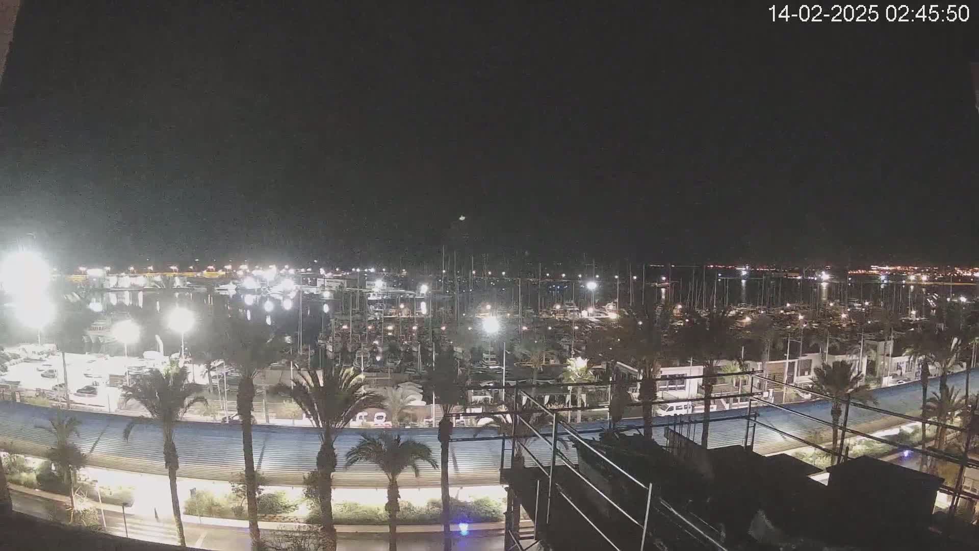A nighttime, aerial view of a marina filled with many boats, surrounded by palm trees and buildings under a clear, dark sky.