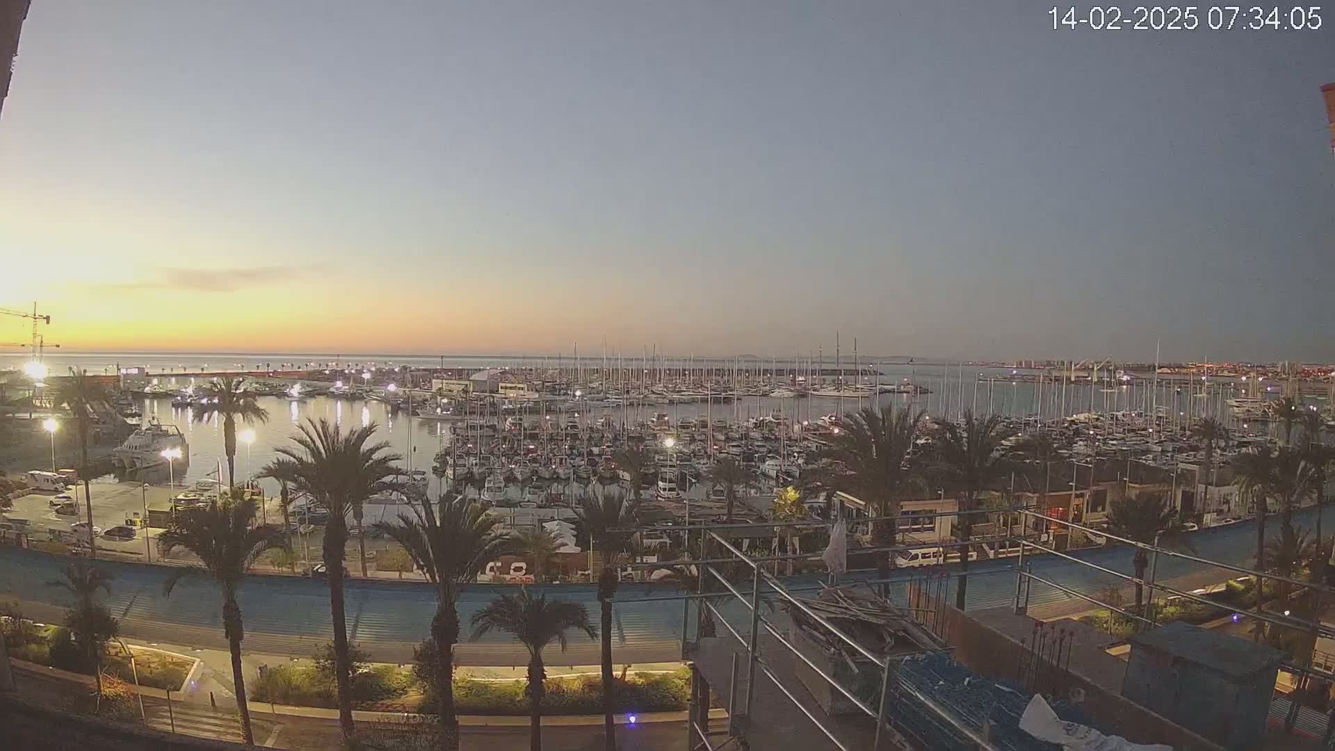 A marina filled with boats at sunrise, under a mostly clear sky, is viewed from an elevated position overlooking palm trees and a paved walkway.
