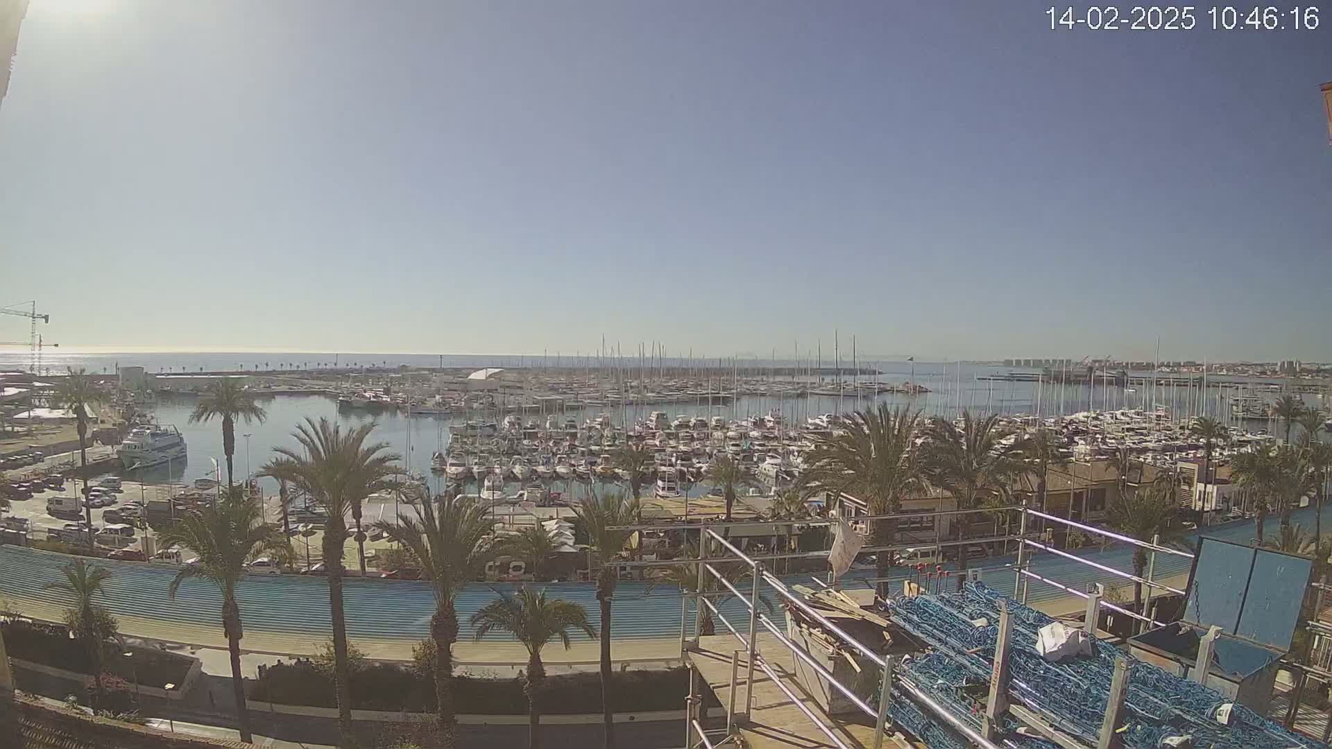 A sunny day overlooking a harbor filled with numerous boats and yachts, surrounded by palm trees and a paved area.