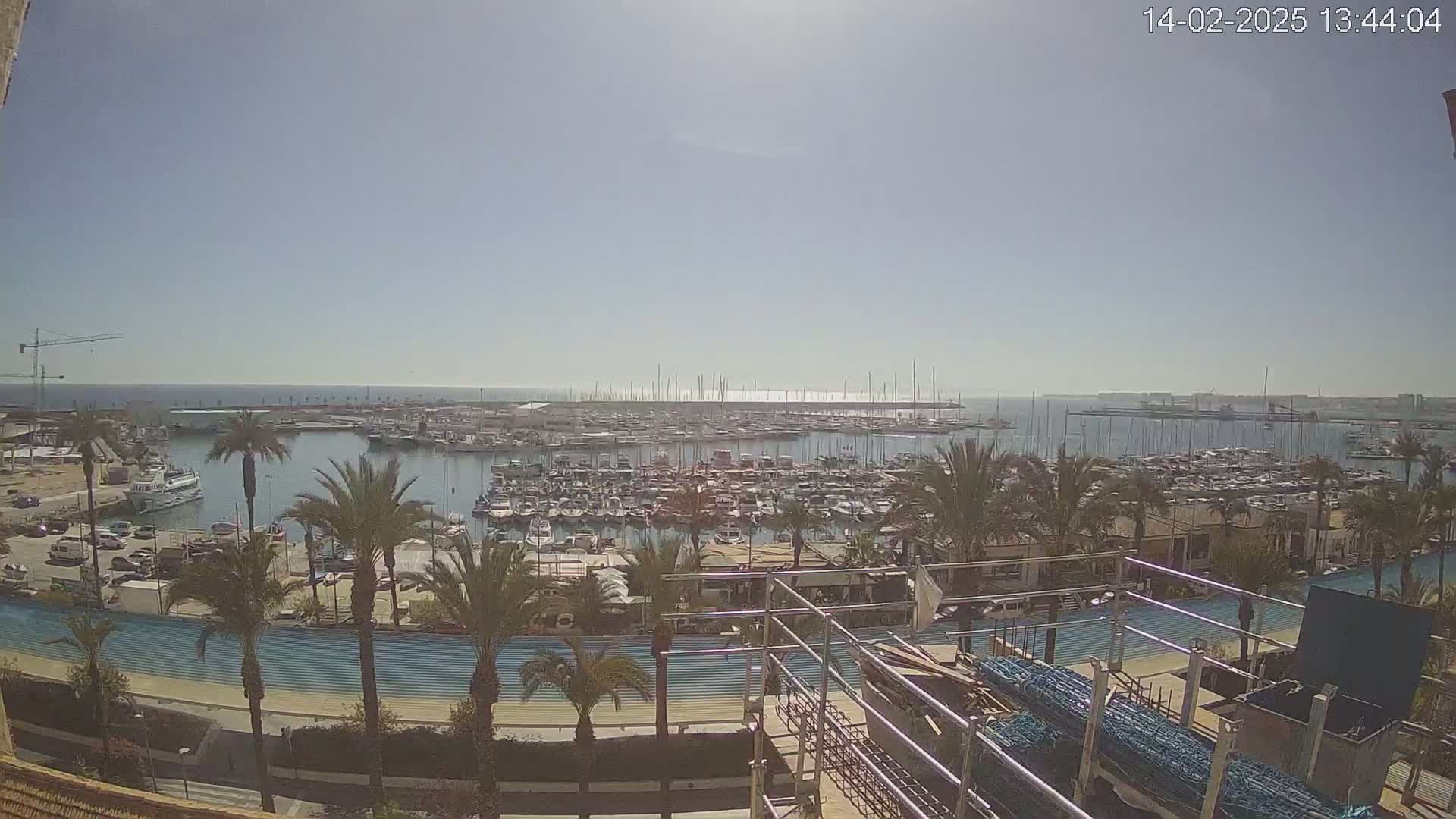 A sunny day reveals a harbor filled with numerous boats and yachts, surrounded by palm trees and buildings, with a construction site in the foreground.