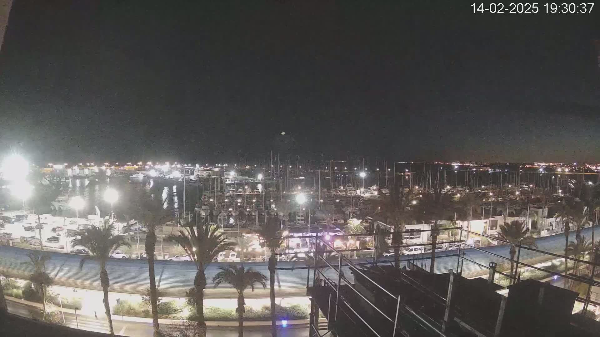 A nighttime view of a marina filled with boats, illuminated by lights, under a clear, dark sky.