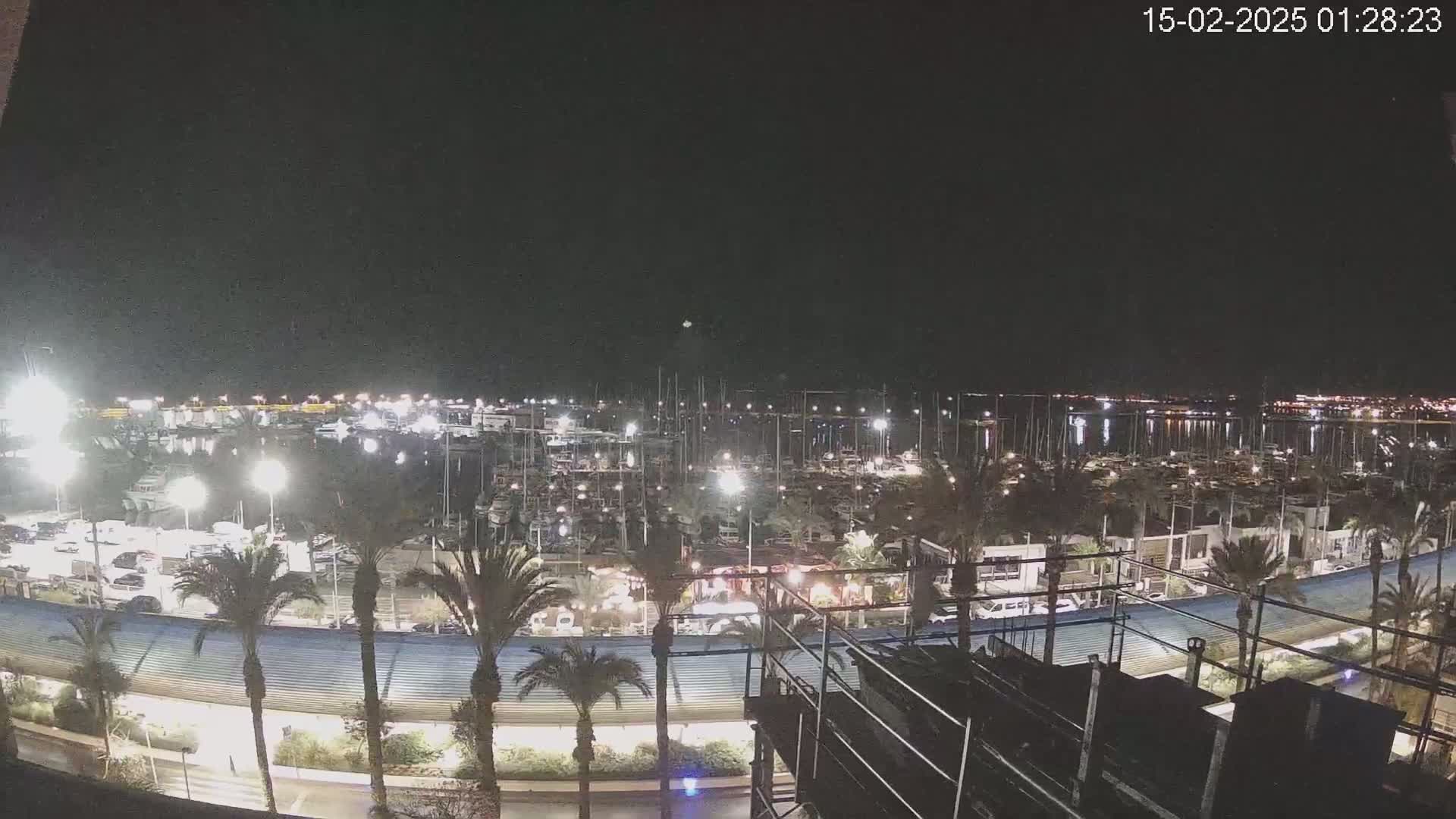 A nighttime view of a marina filled with boats, illuminated by lights, with palm trees lining a nearby roadway under a clear sky.