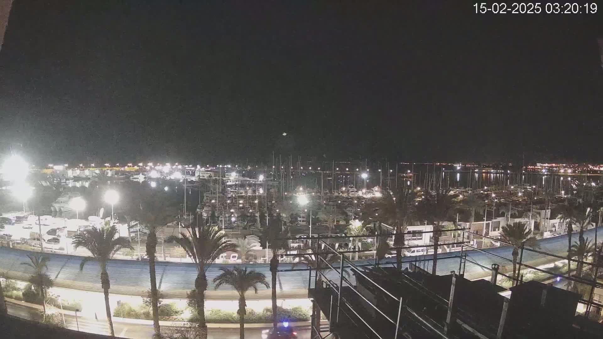 A nighttime view of a marina filled with boats, surrounded by palm trees and lit by artificial lights under a clear, dark sky.