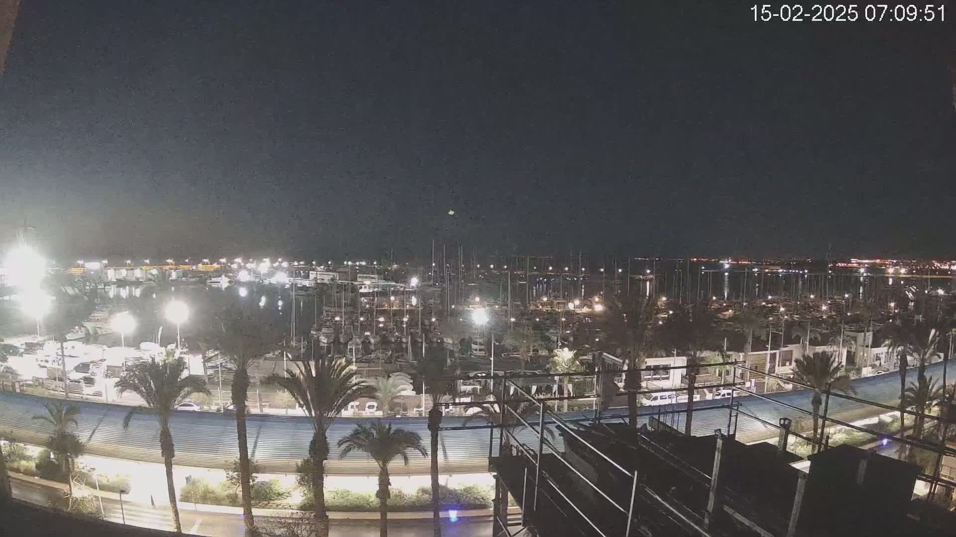 A nighttime view of a marina filled with boats, illuminated by lights, with palm trees lining a nearby roadway under a clear, dark sky.
