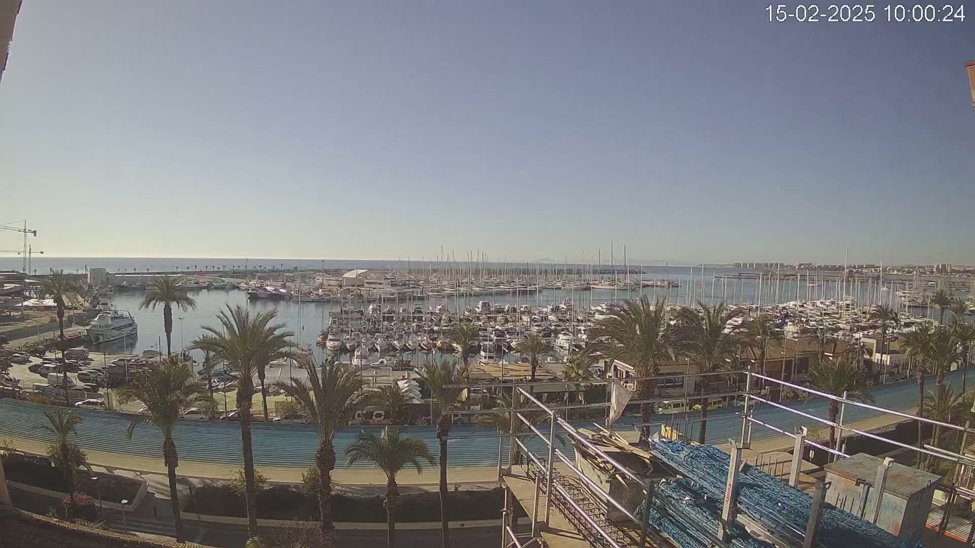 A sunny day overlooks a marina filled with numerous boats and yachts, surrounded by palm trees and a waterfront promenade.