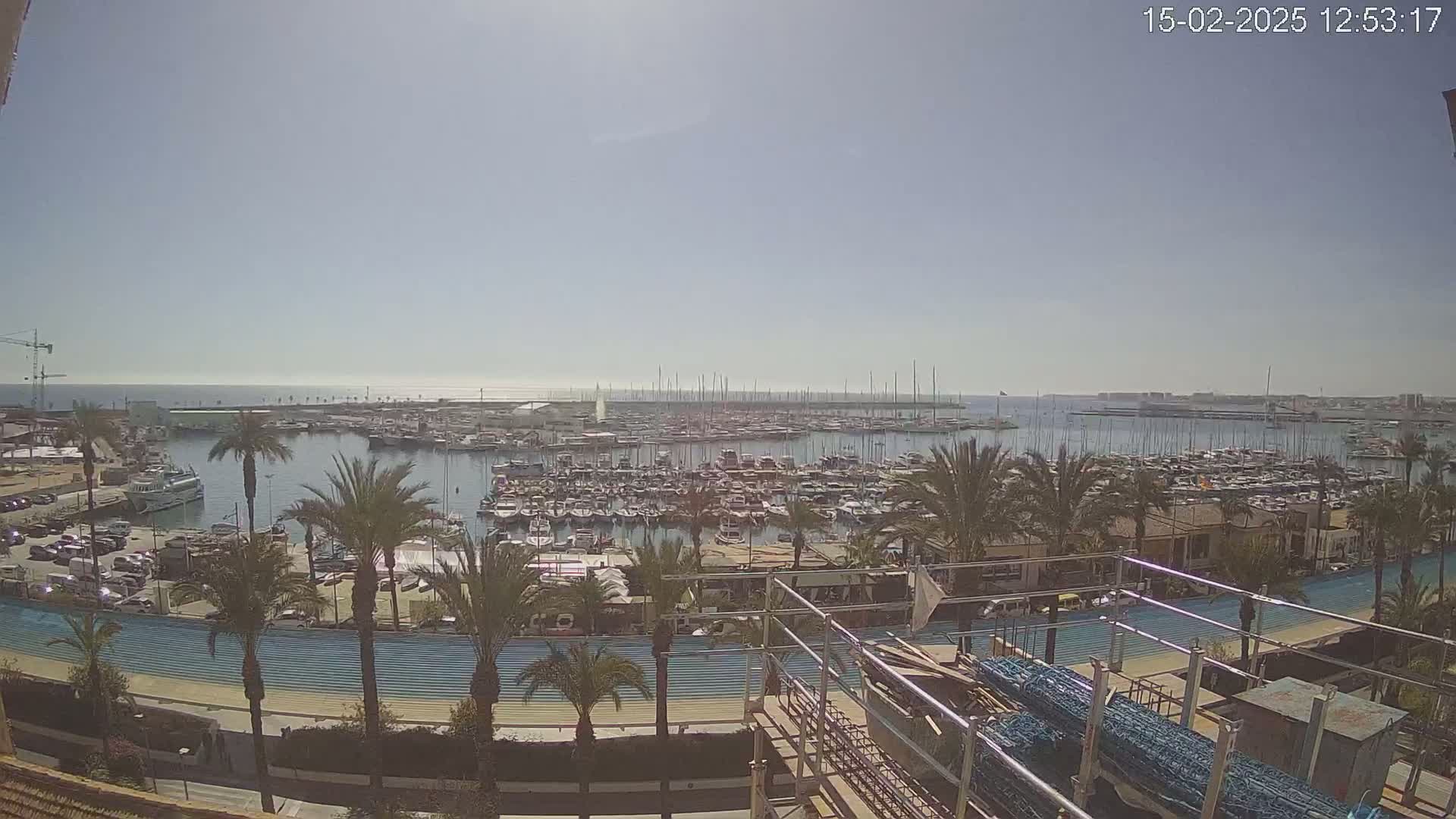 A sunny day overlooking a marina filled with numerous boats and yachts, surrounded by palm trees and buildings, with a clear blue ocean in the distance.