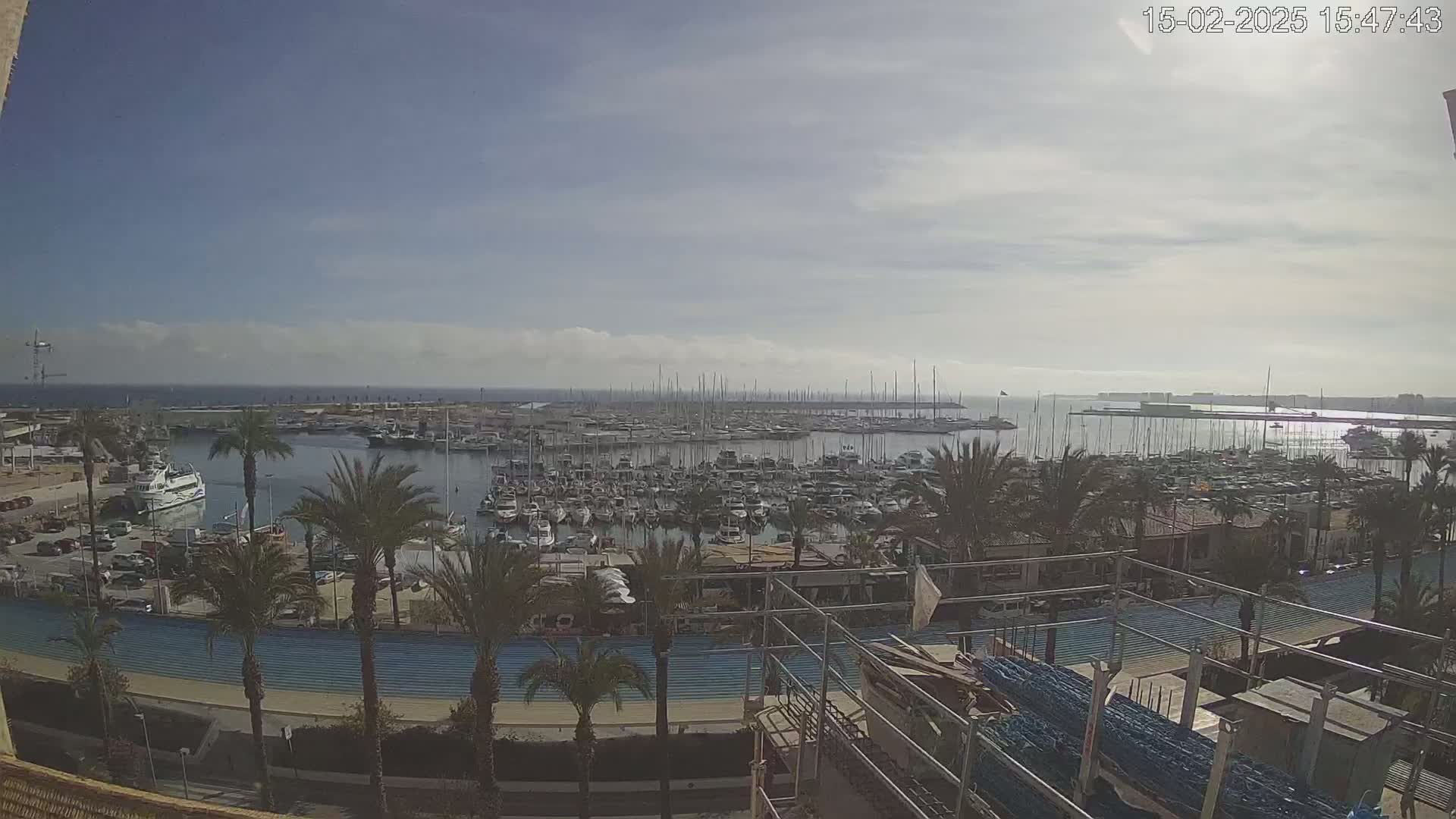 A mostly sunny day overlooks a crowded marina filled with sailboats and motorboats, palm trees lining a walkway in the foreground.