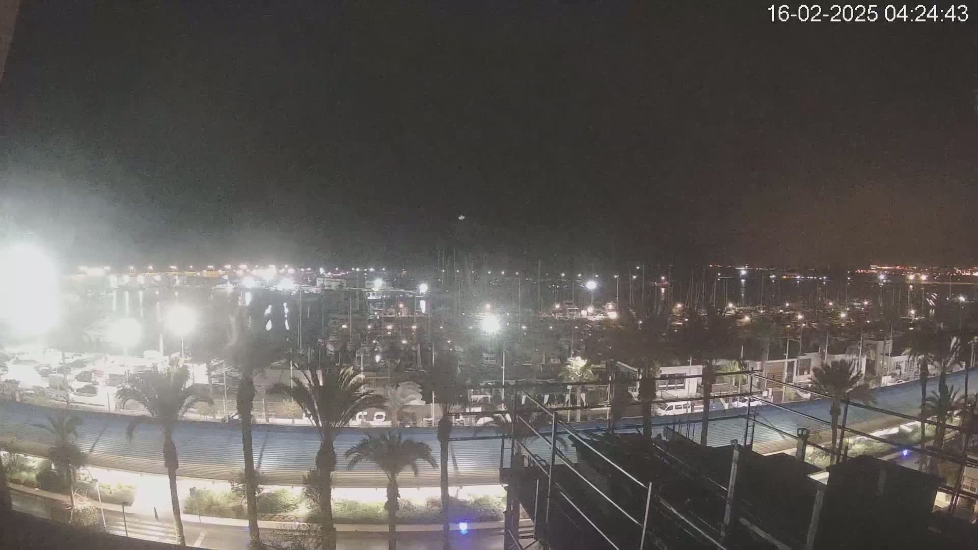 A nighttime view of a marina filled with boats, surrounded by palm trees and buildings under a dark, clear sky.
