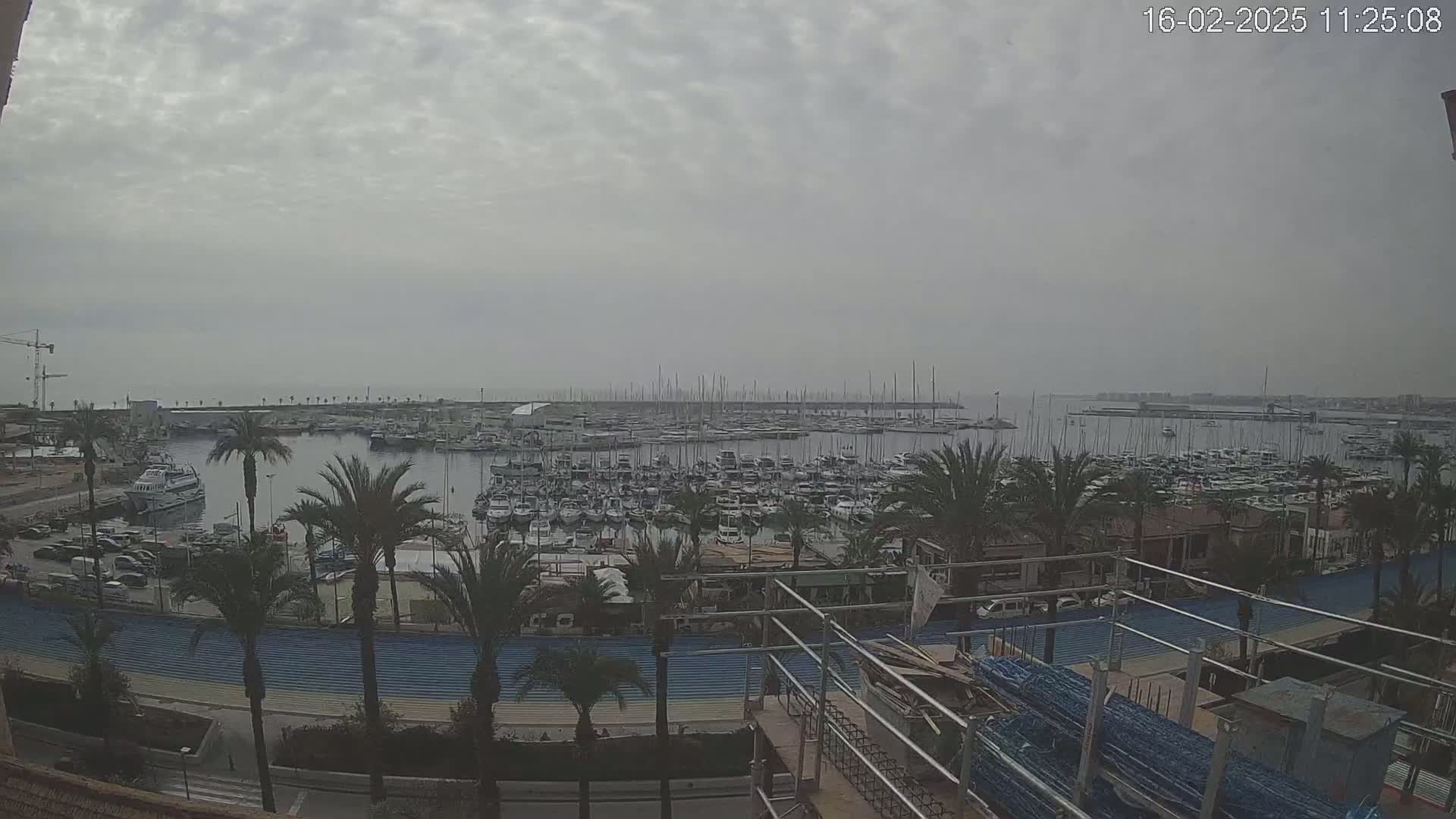 A crowded marina filled with boats is seen under an overcast sky, with palm trees and a construction site in the foreground.