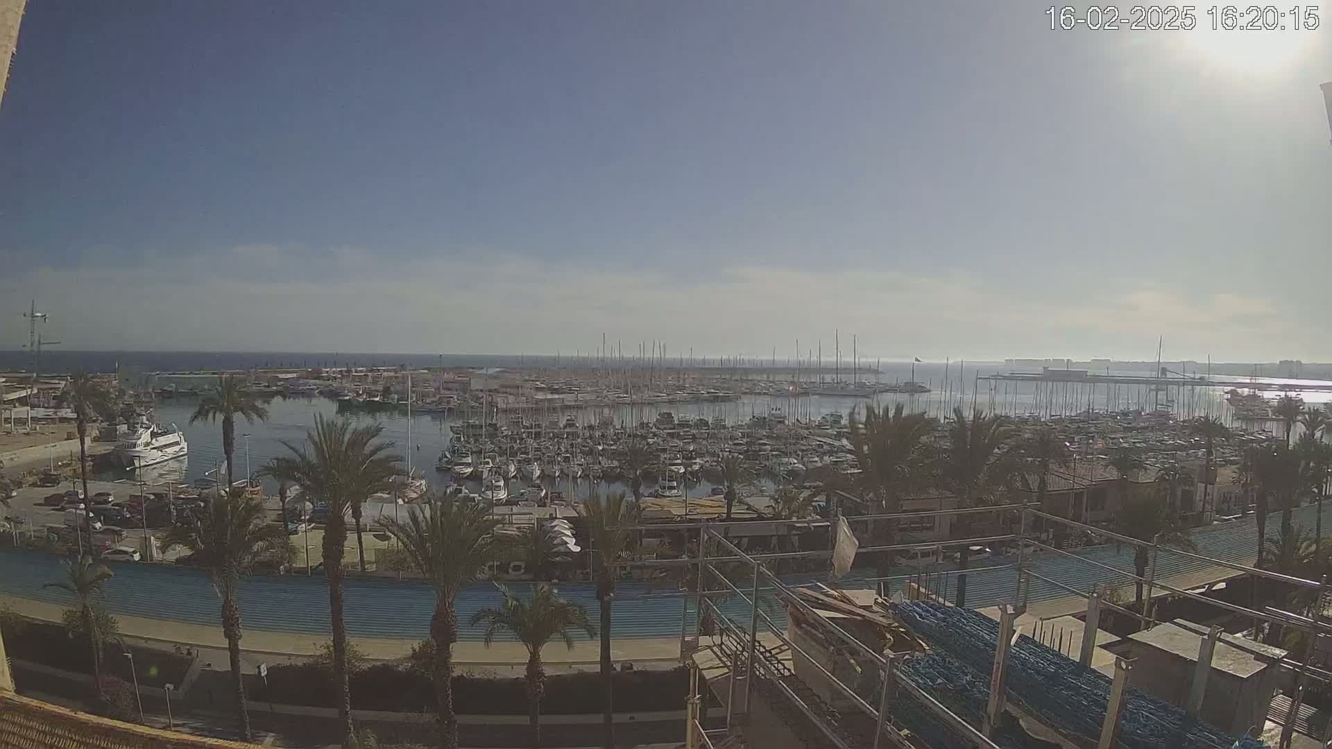 A sunny day overlooks a harbor filled with many boats and sailboats, surrounded by palm trees and a roadway.