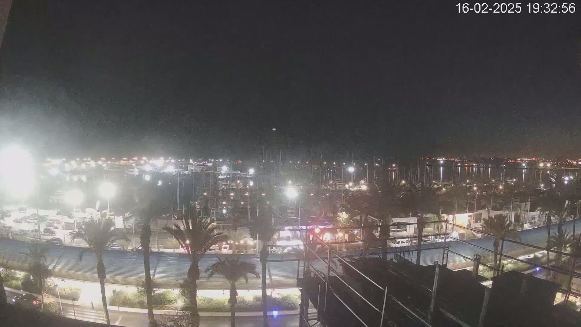 A nighttime view of a marina filled with boats, surrounded by palm trees and buildings under a clear, dark sky.