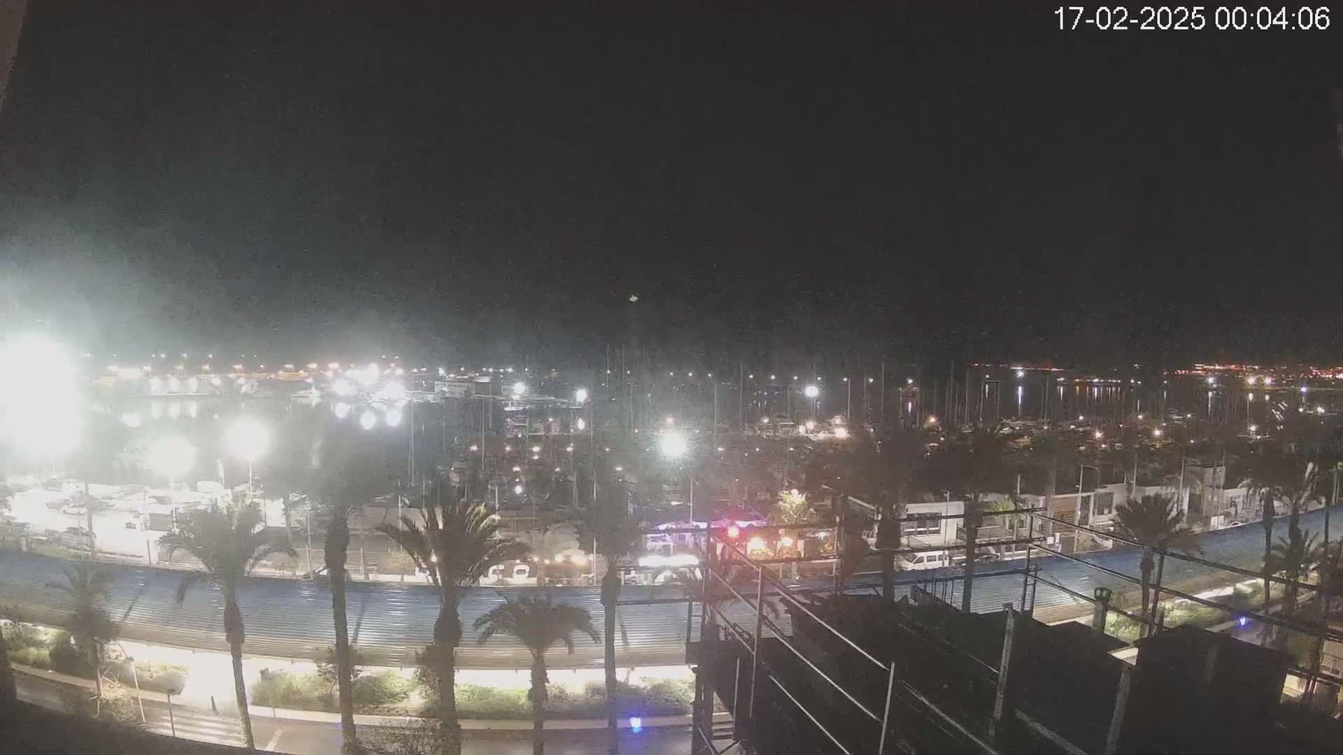 A nighttime, brightly lit marina filled with boats is seen from an elevated viewpoint, with palm trees lining a roadway in the foreground under a dark, clear sky.