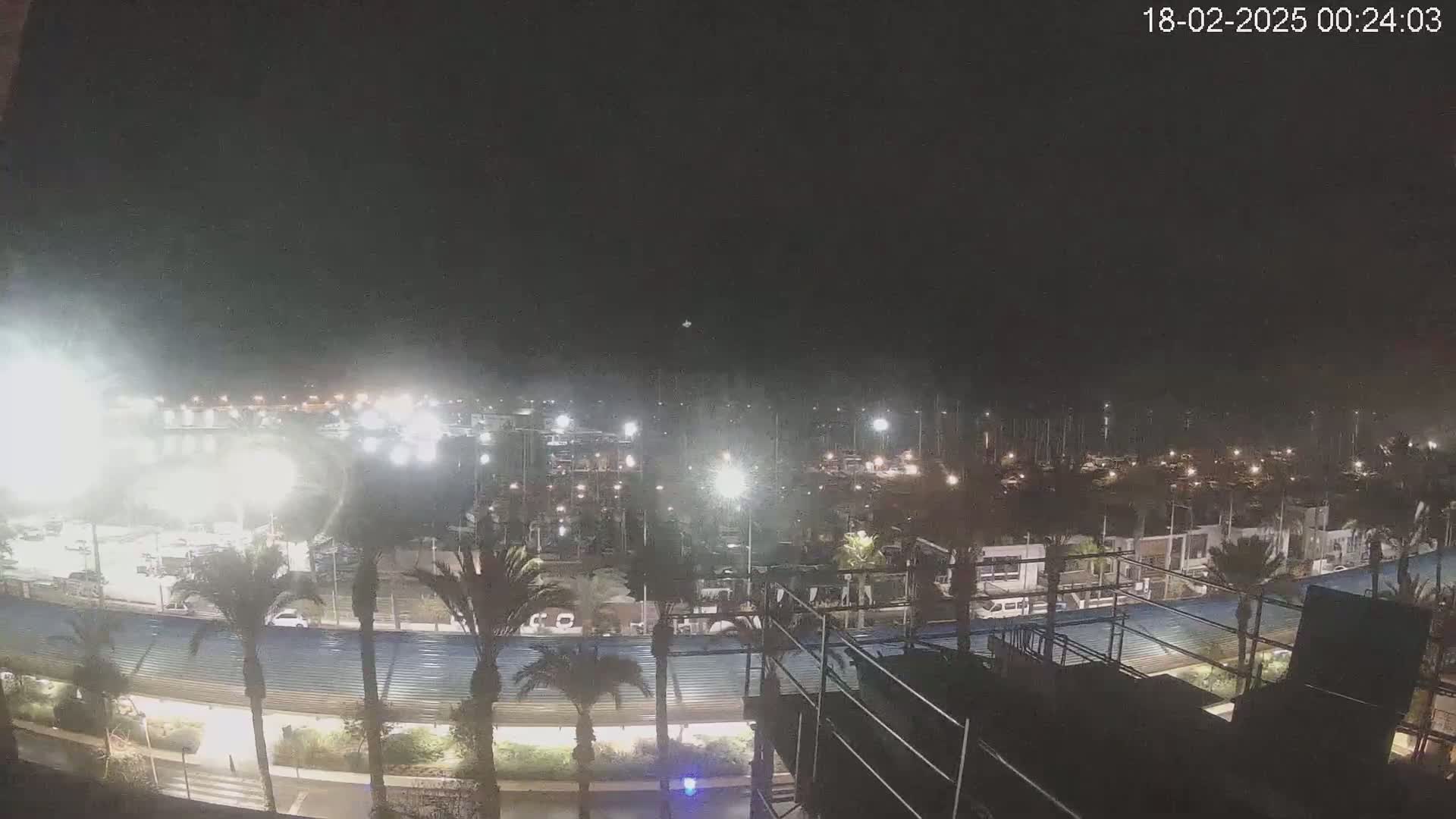 A nighttime view of a marina filled with boats and surrounded by palm trees and buildings under a dark, clear sky.