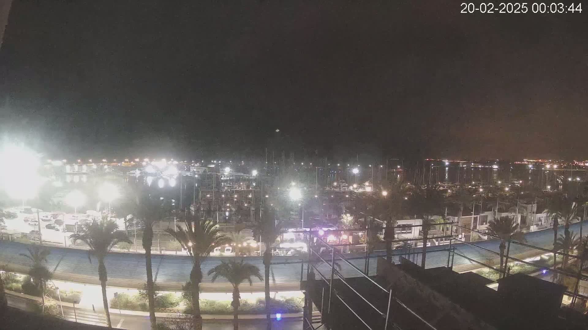 A nighttime, brightly lit marina filled with boats is seen from an elevated viewpoint, surrounded by palm trees and a roadway.