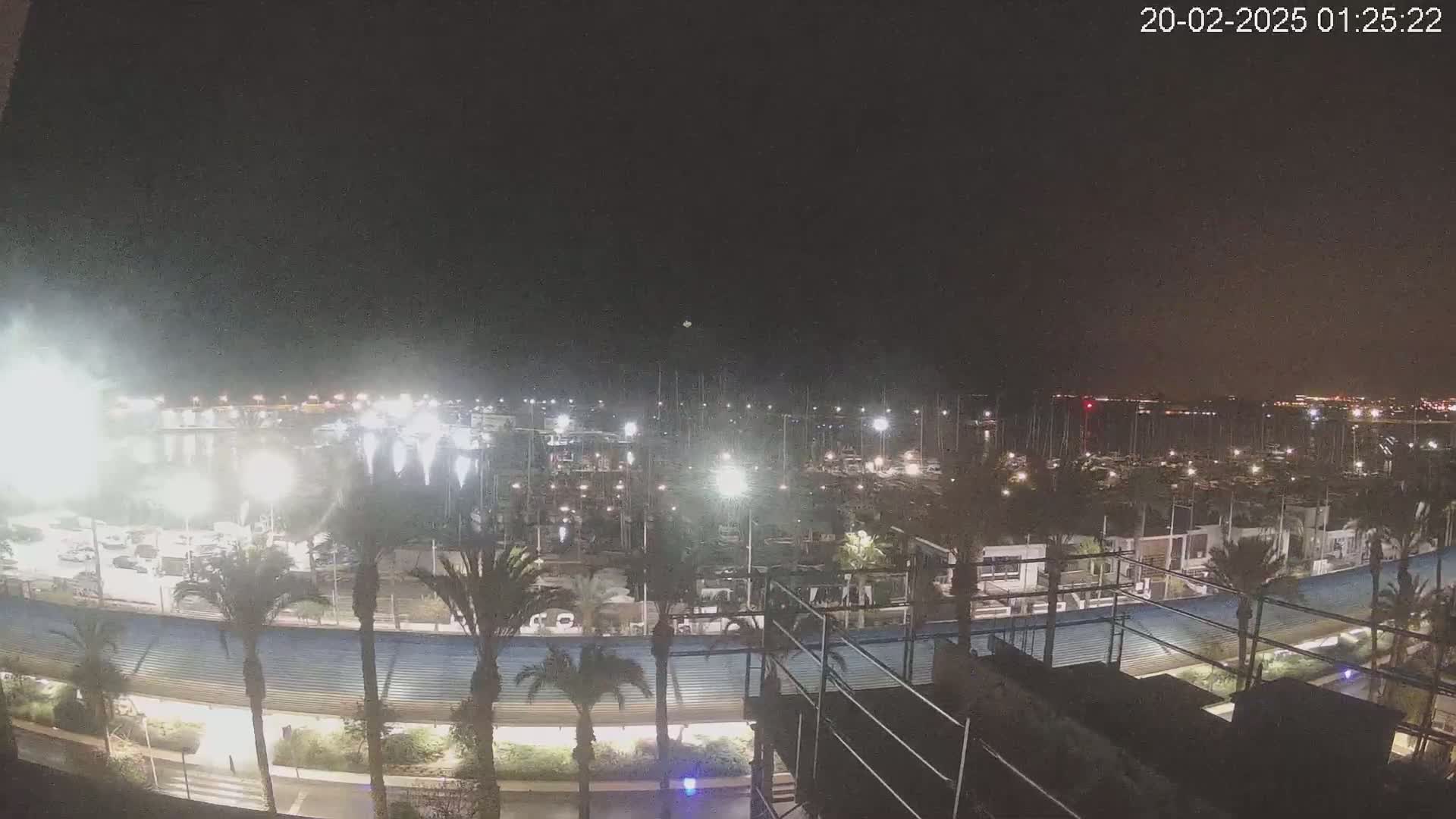 A nighttime view of a marina filled with boats, illuminated by lights, with palm trees lining a walkway in the foreground under a clear, dark sky.